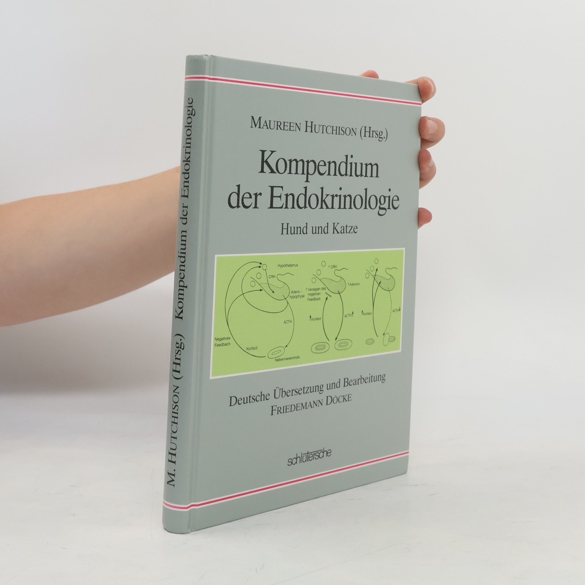 Maureen Hutchison Kompendium der Endokrinologie