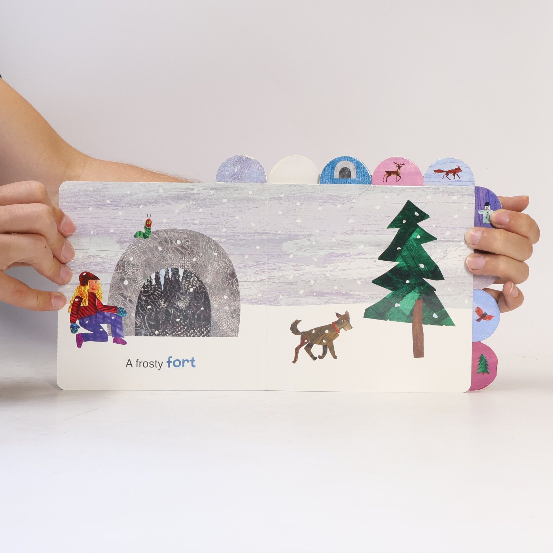 Eric Carle A Day in the Snow with The Very Hungry Caterpillar