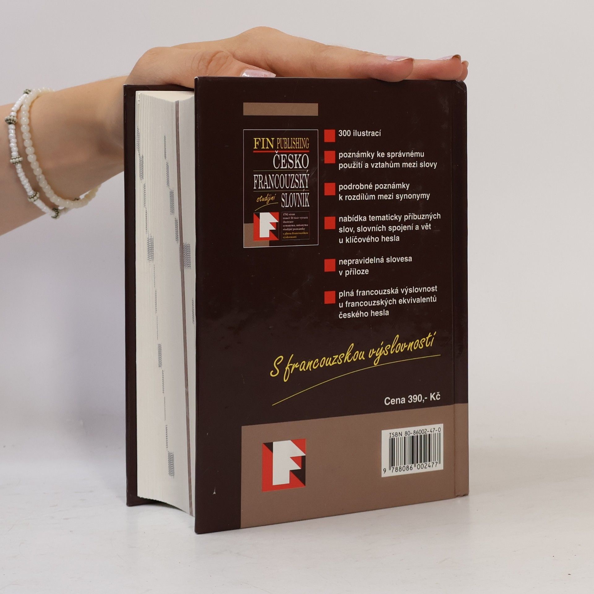 Autorenkollektiv Česko-francouzský slovník