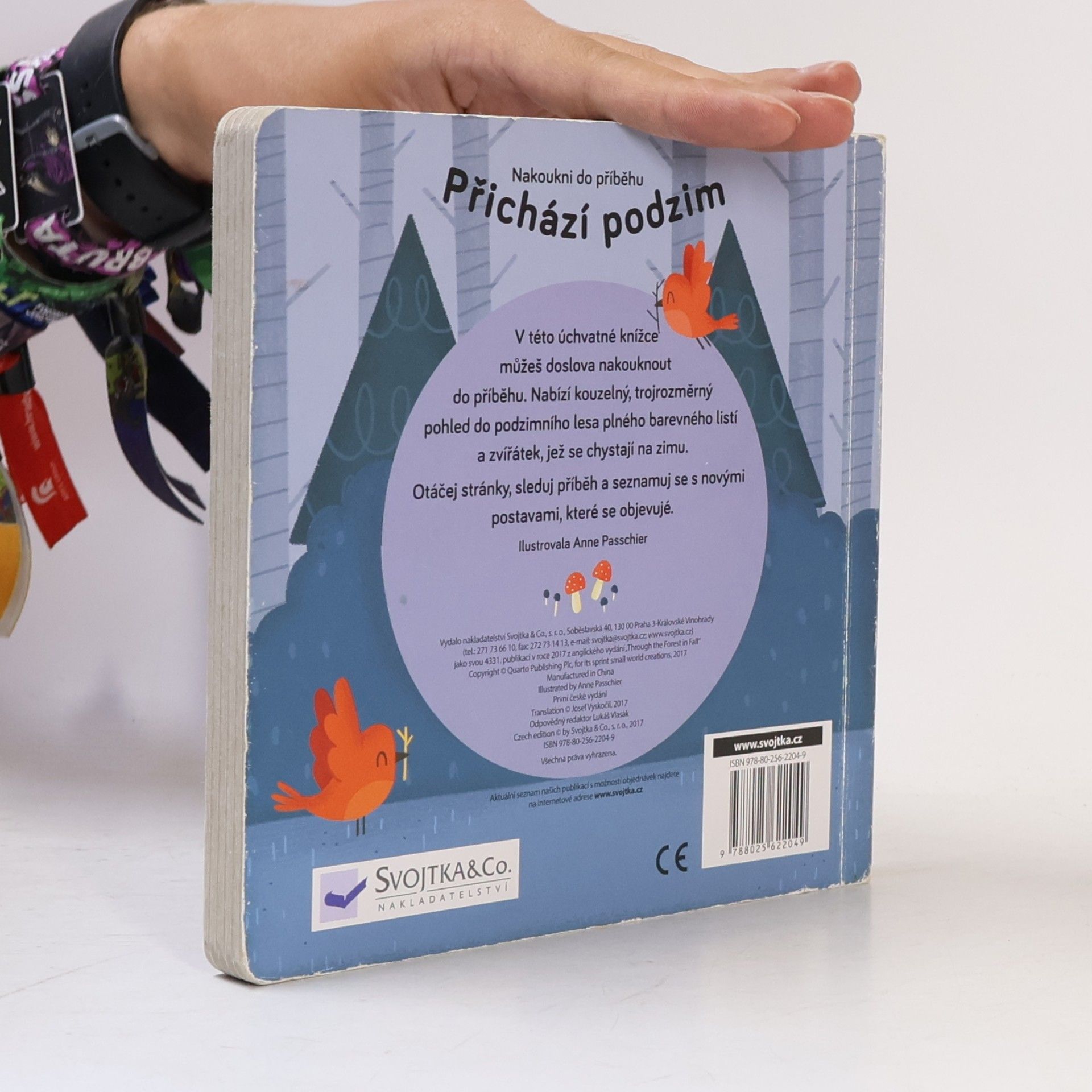 Anne Passchier Přichází podzim : kdo se schovává v lese?