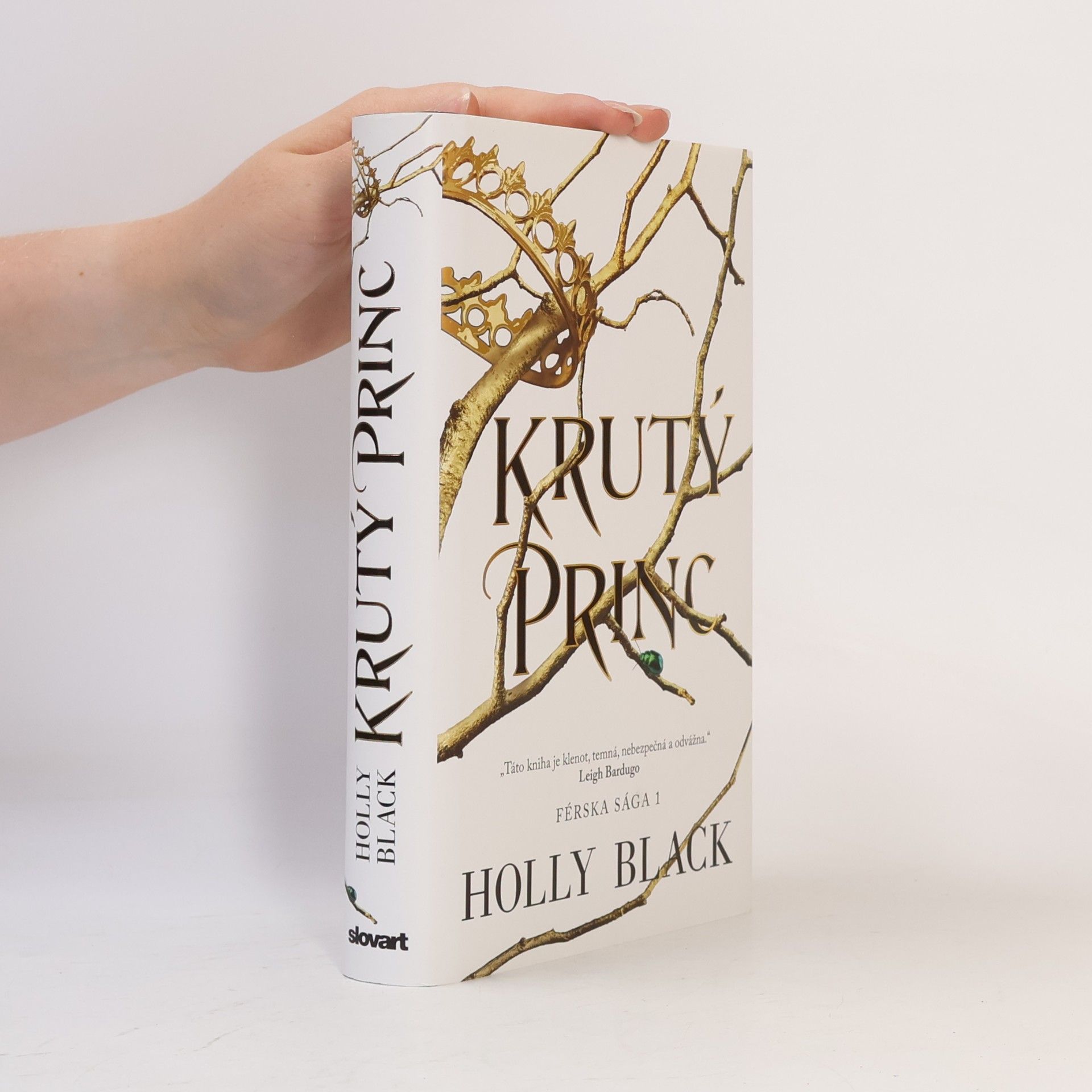 Holly Black Krutý princ