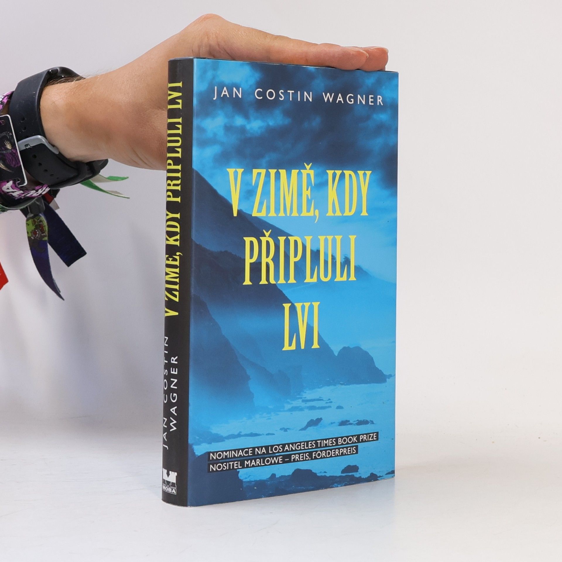 Jan Costin Wagner V zimě, kdy připluli lvi
