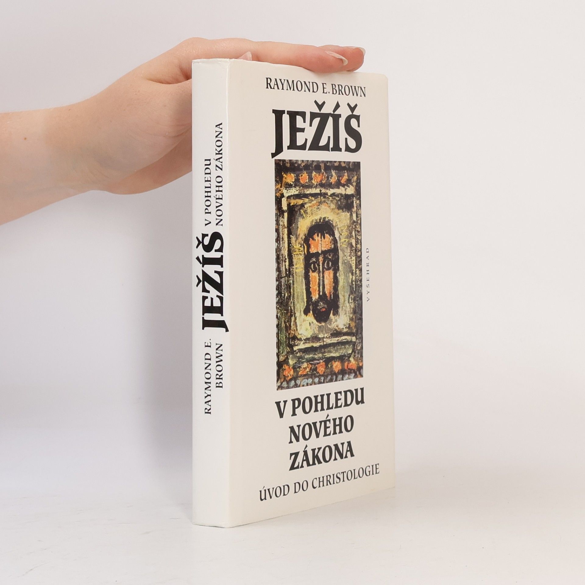 Raymond E. Brown Ježíš v pohledu Nového zákona