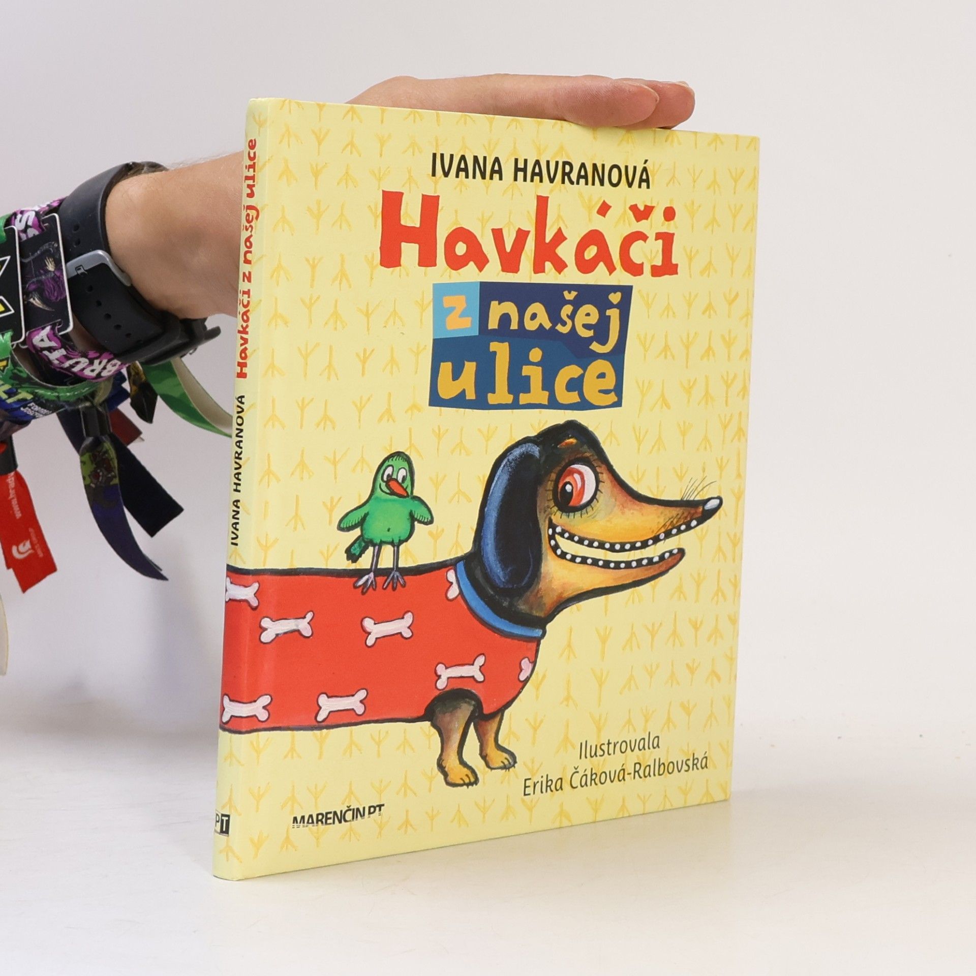 Ivana Havranová Havkáči z našej ulice