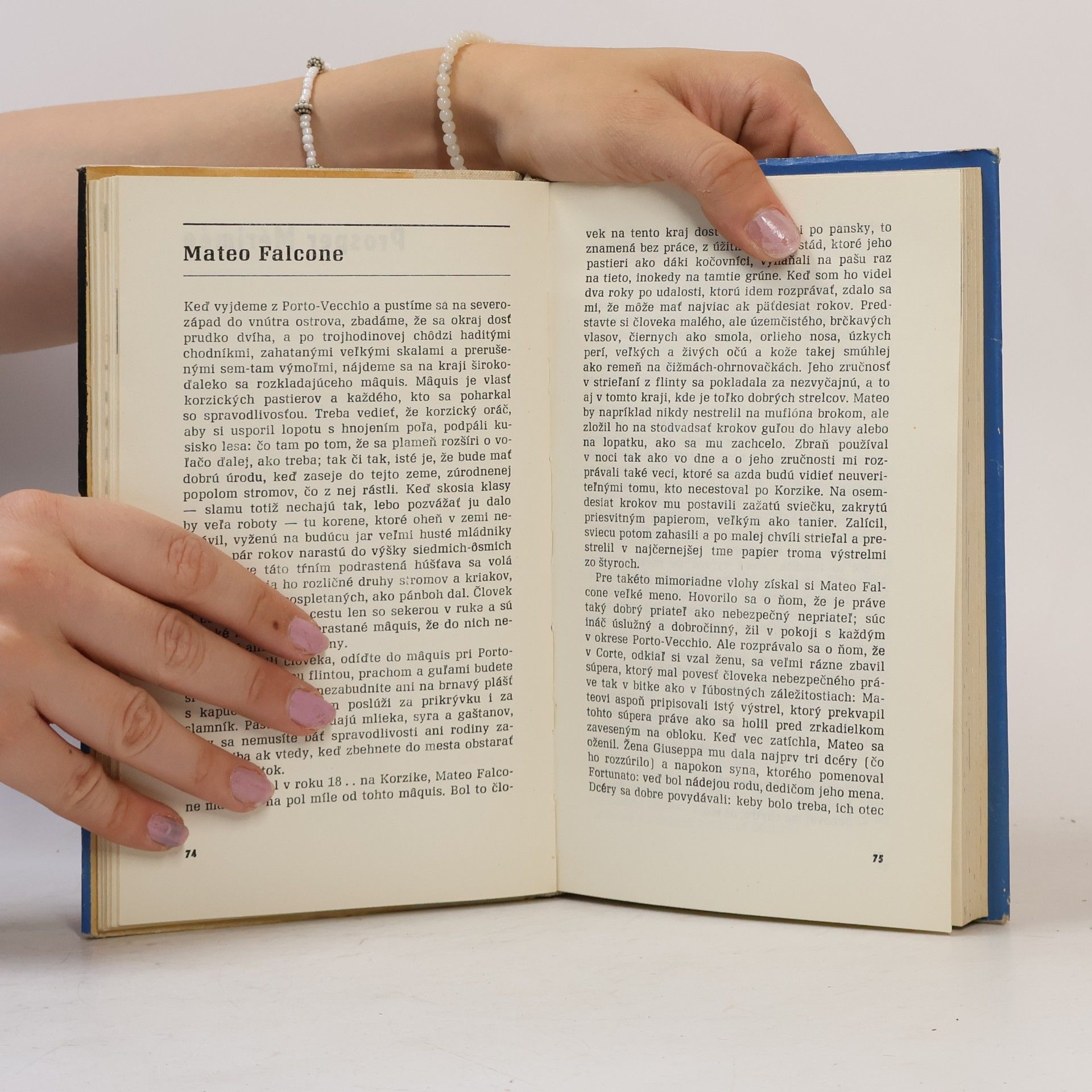Autorenkollektiv Slzy a víno. Francúzske poviedky XIX. storočia