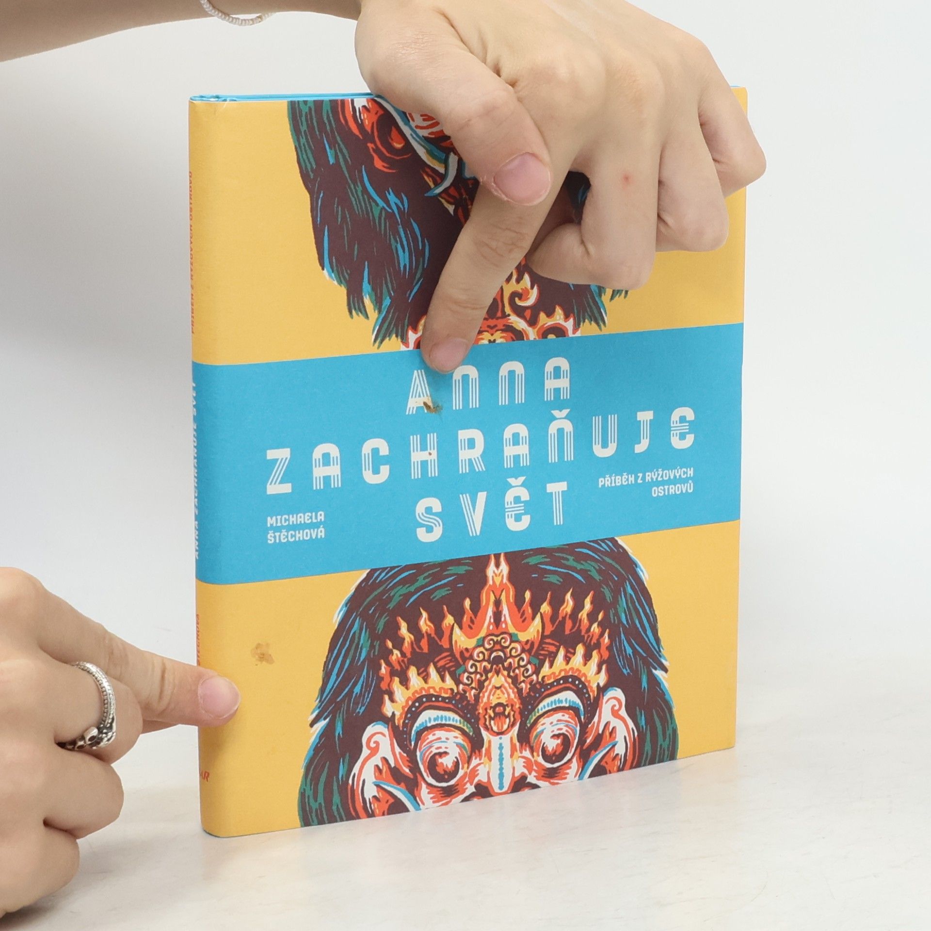 Michaela Štěchová Anna zachraňuje svět. Příběh z rýžových ostrovů