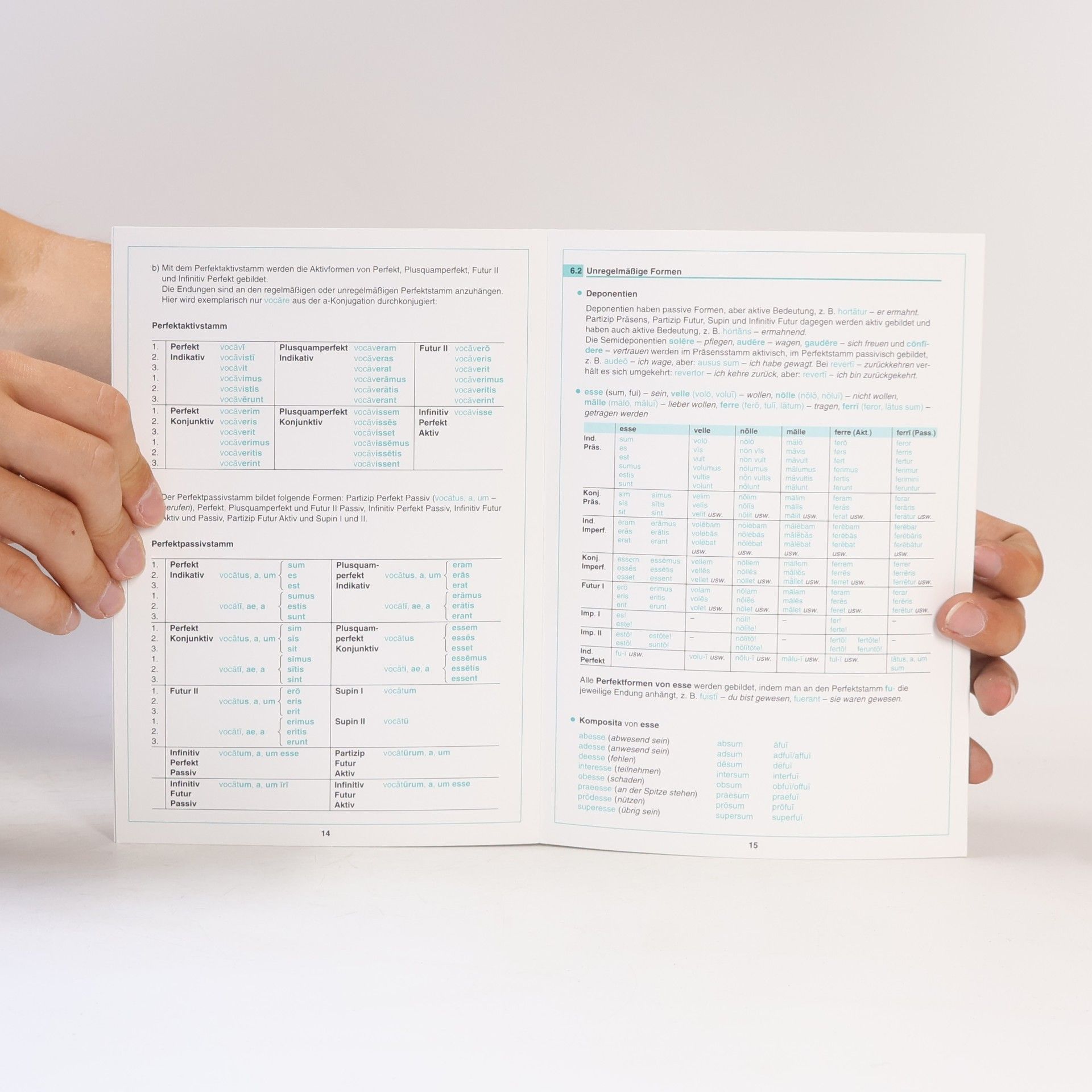 Linda Strehl Langenscheidts Grammatiktafel Latein