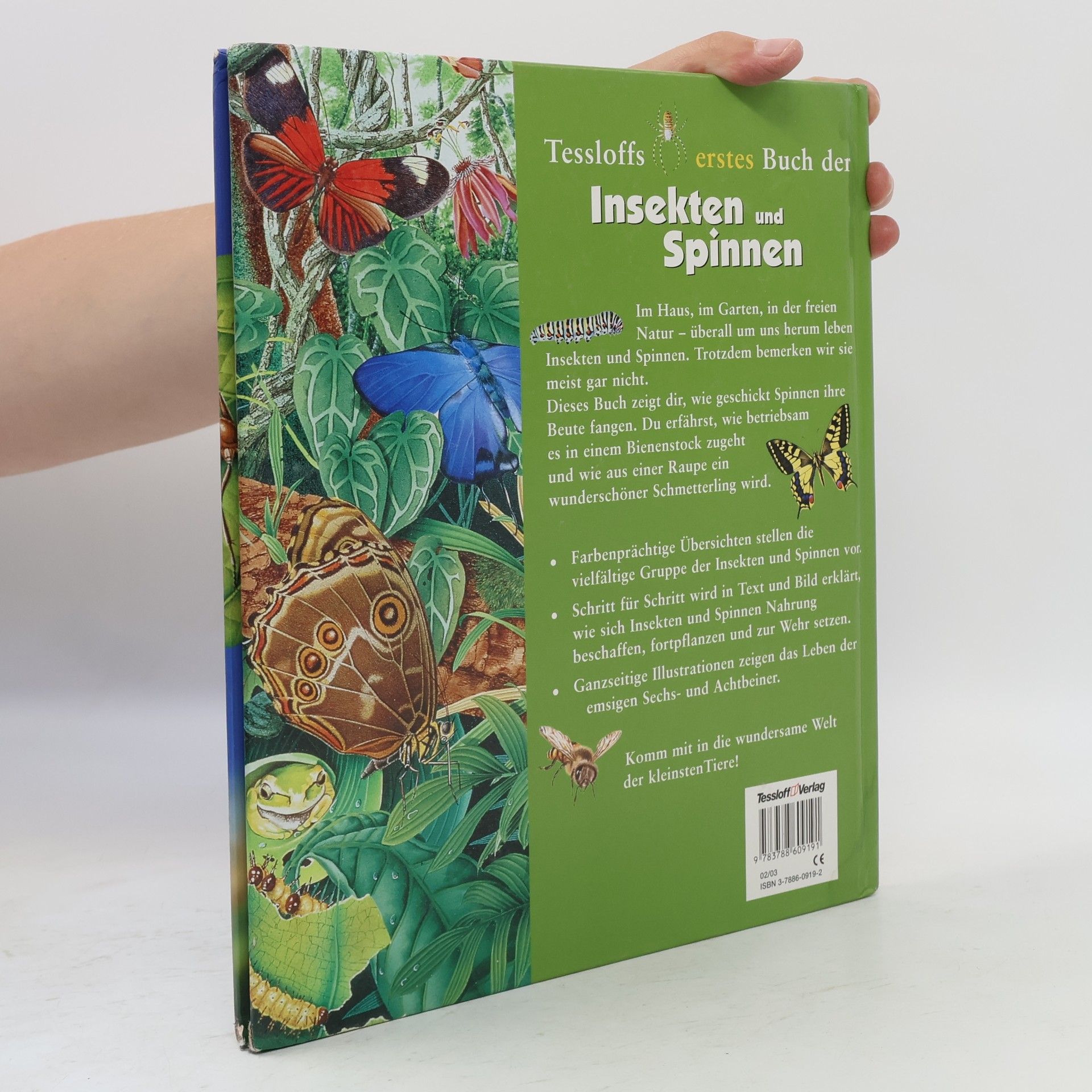 Claire Llewellyn Tessloffs erstes Buch der Insekten und Spinnen