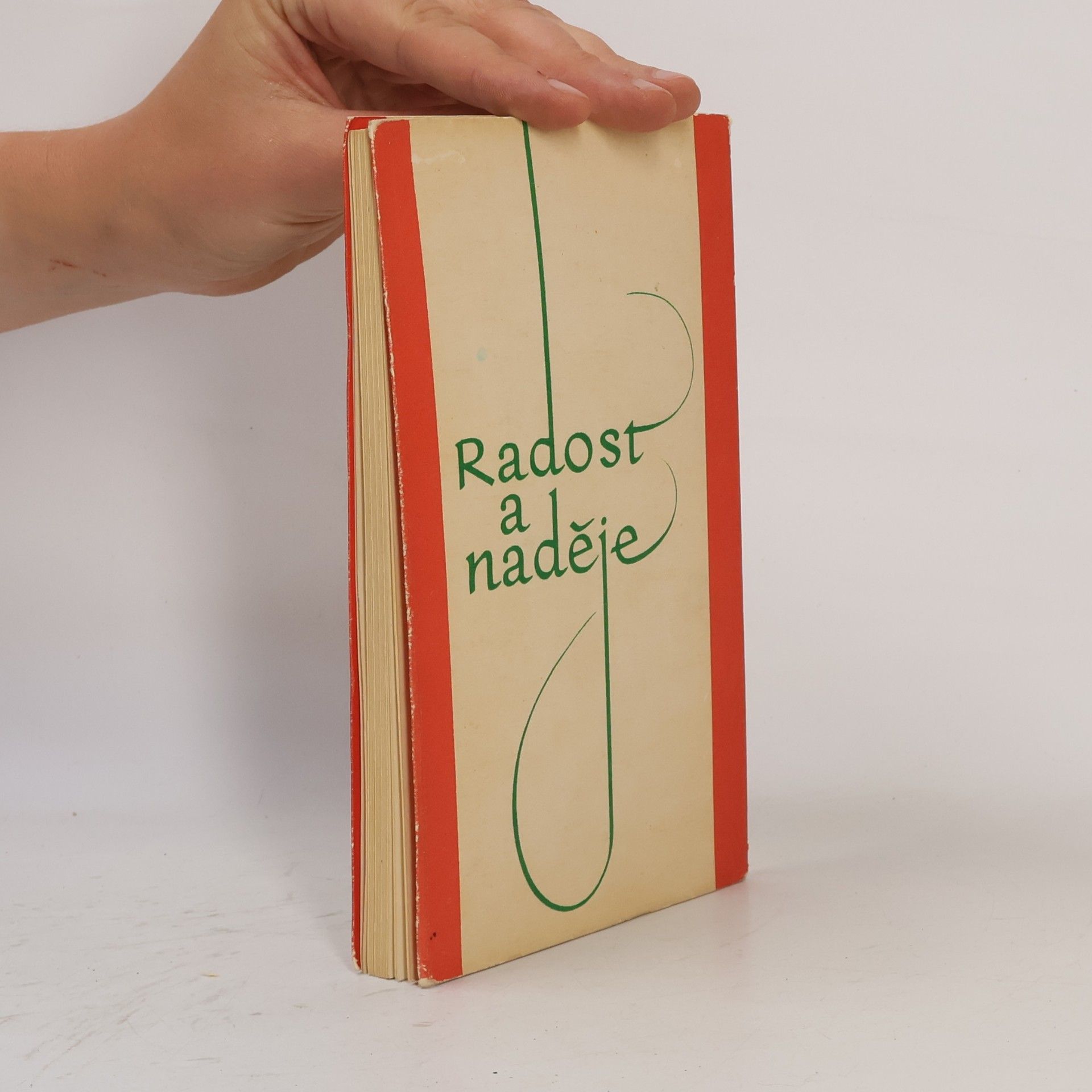 Various authors Gaudium et spes. Radost a naděje