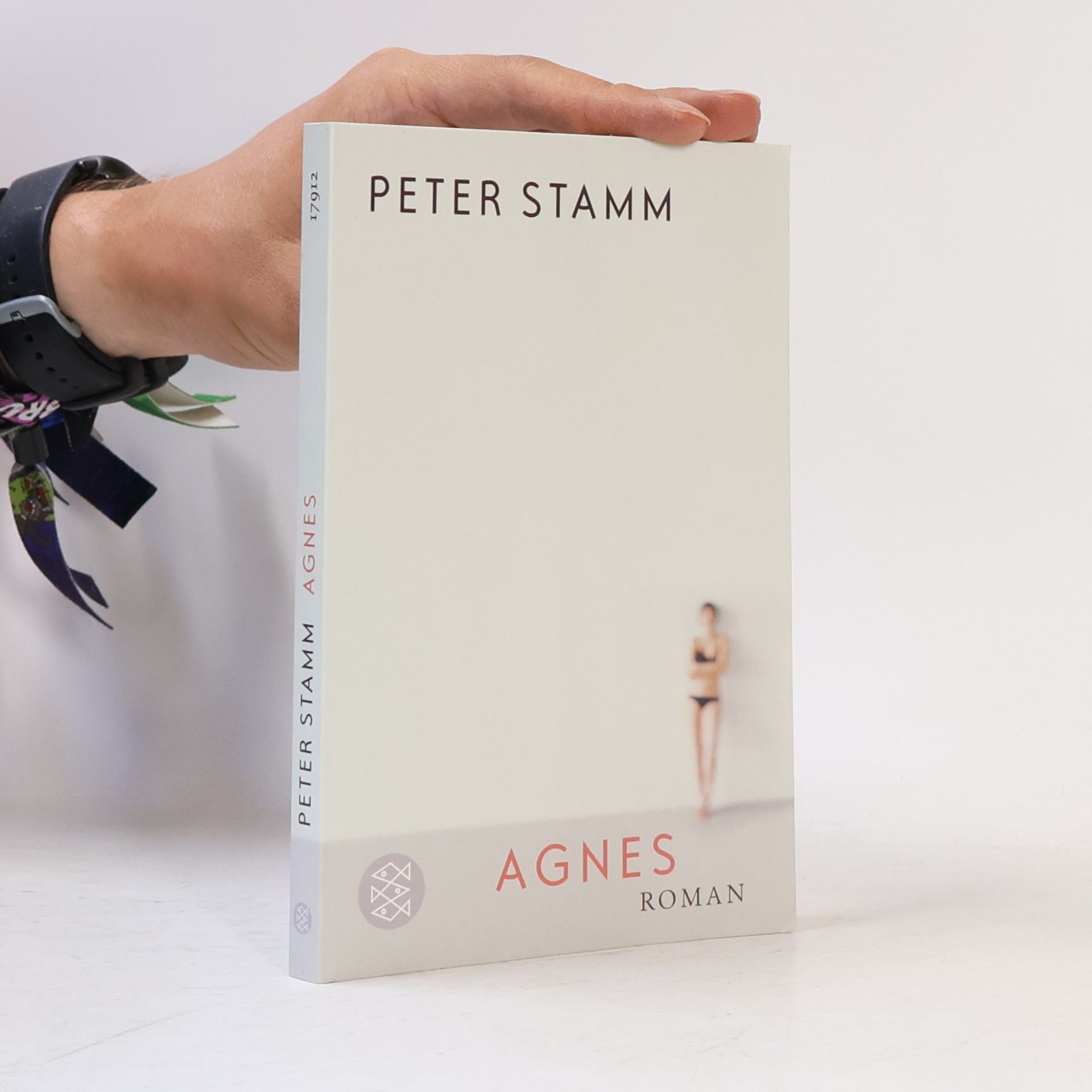 Peter Stamm Agnes