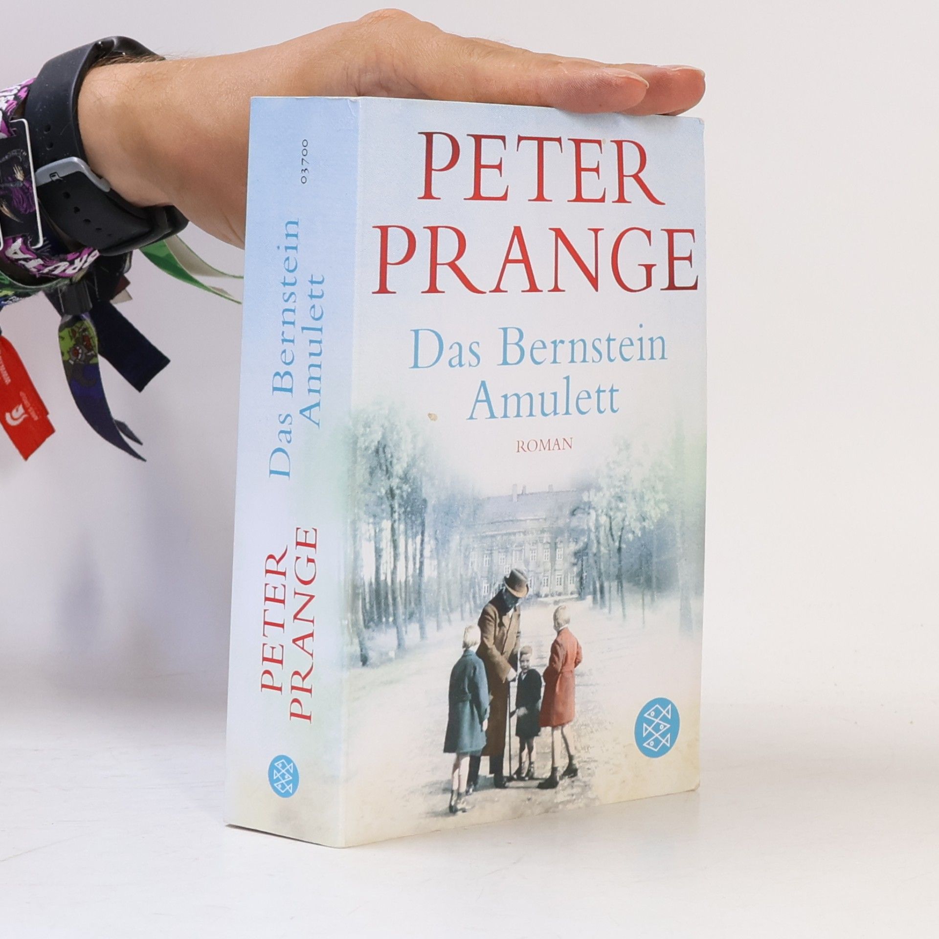 Peter Prange Das Bernstein-Amulett