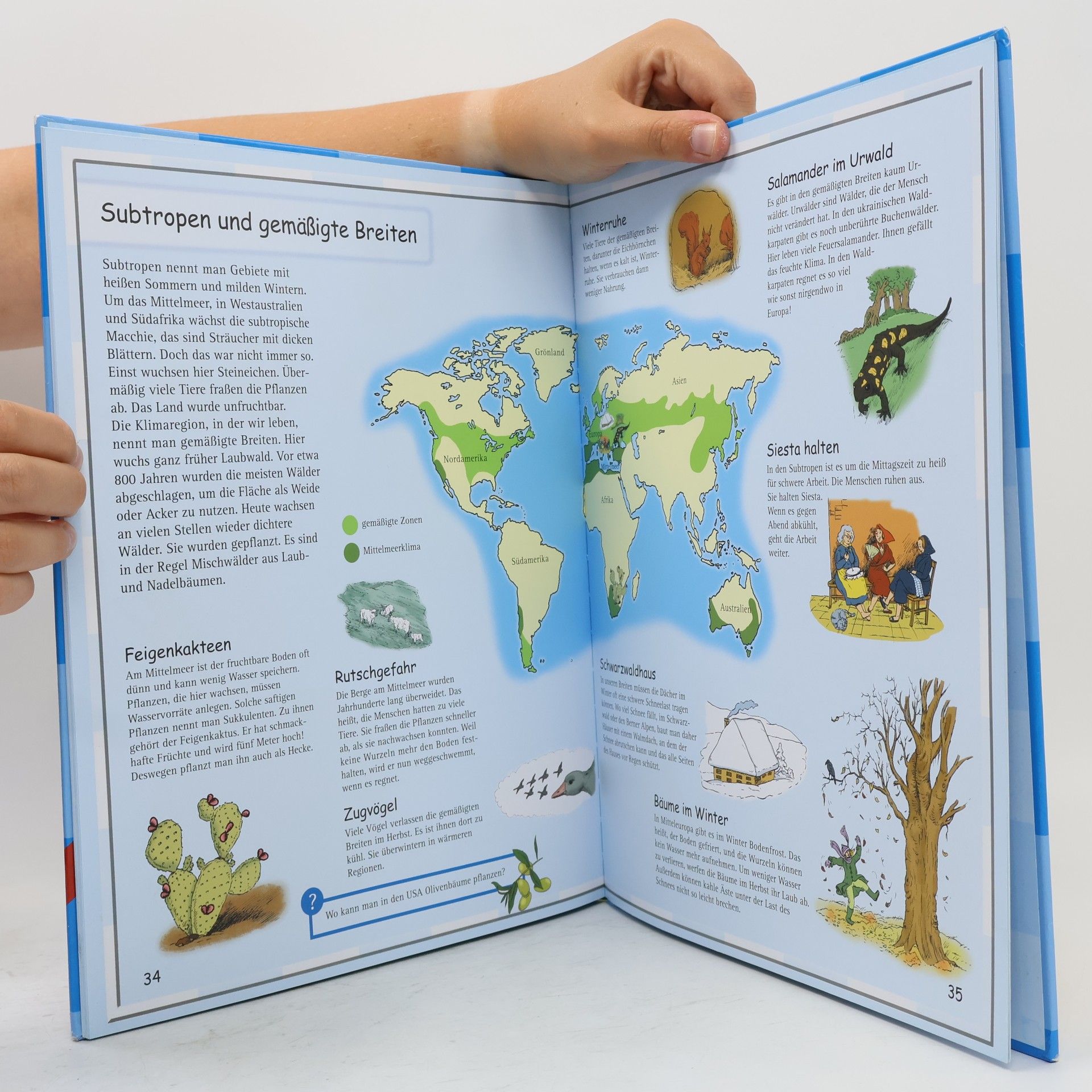 Ute Friesen Wetteratlas für Kinder
