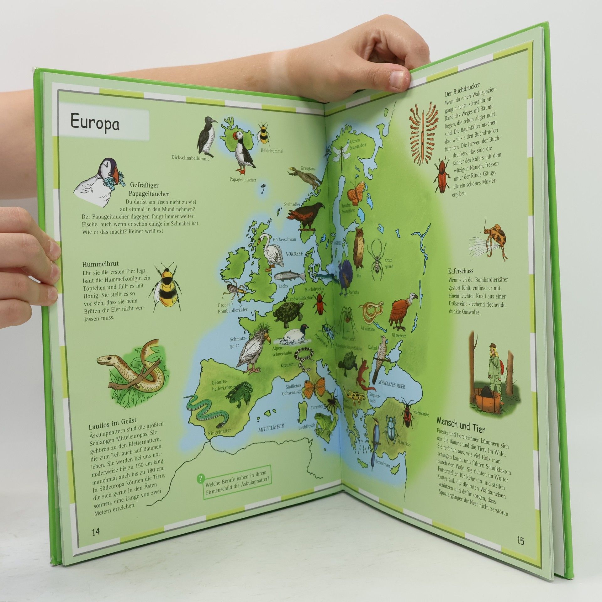 Ute Friesen Kinderatlas Tiere