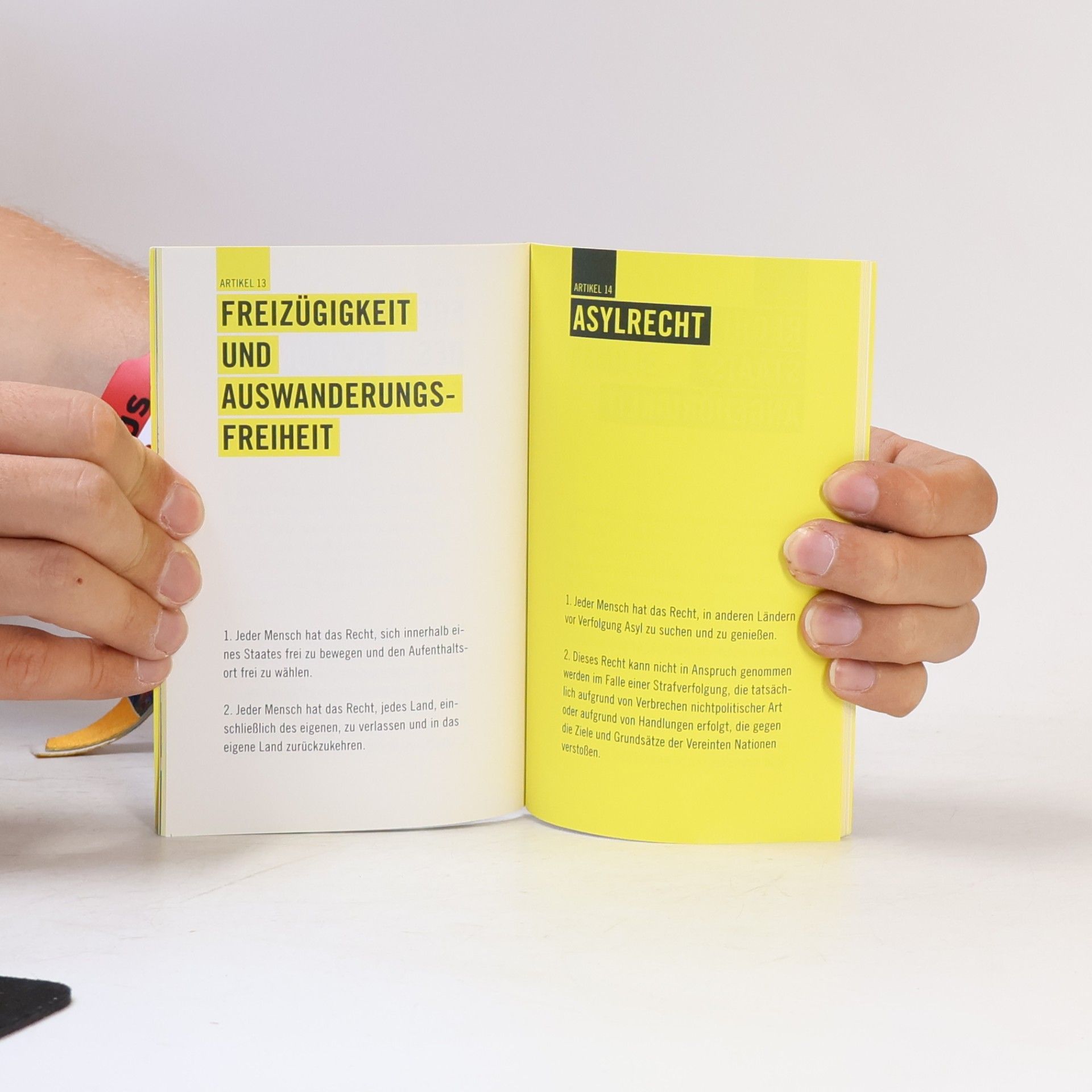 Autorenkollektiv Allgemeine Erklärung der Menschenrechte