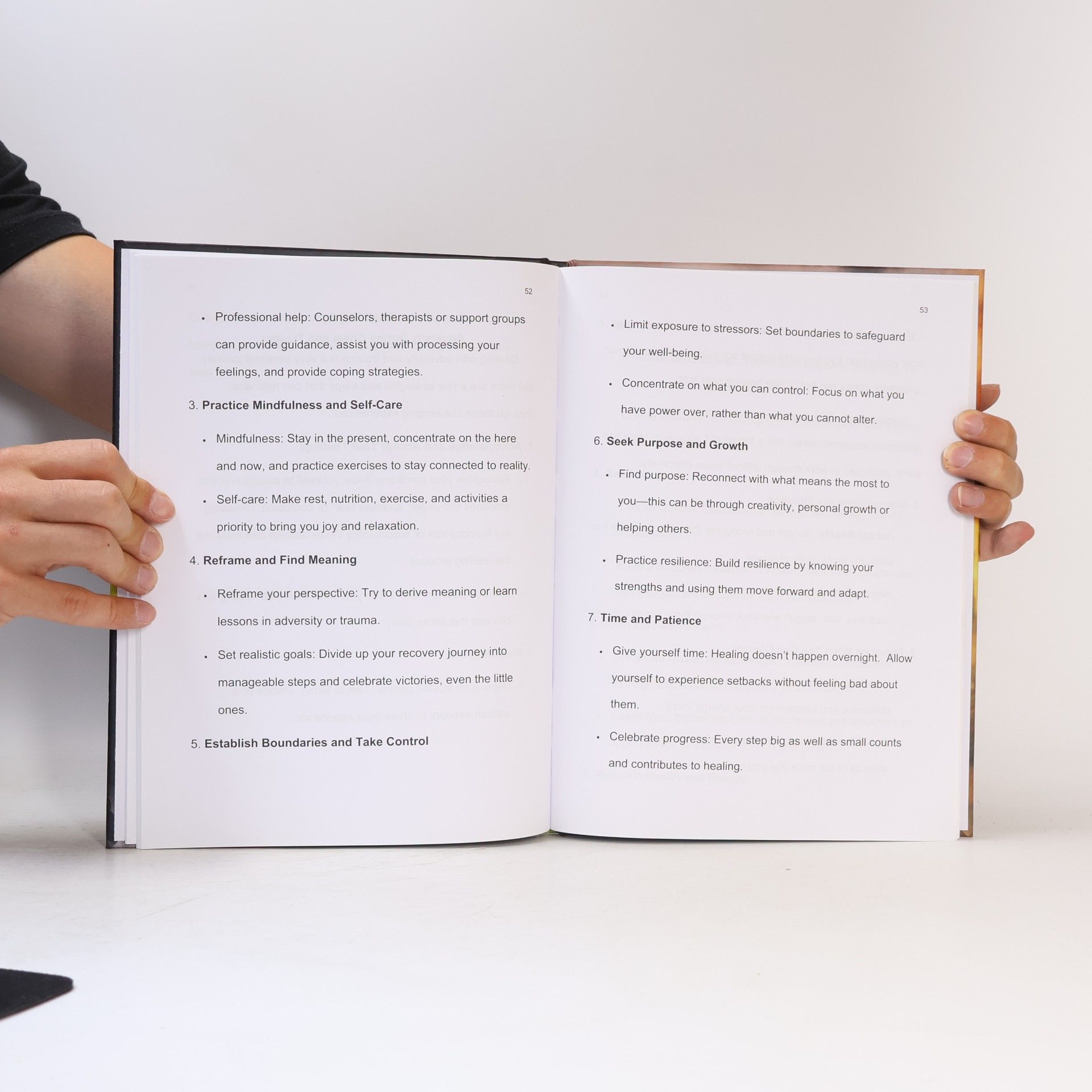 David James Zoppi Zops Handbook of Strategies for Dealing with Adversity
