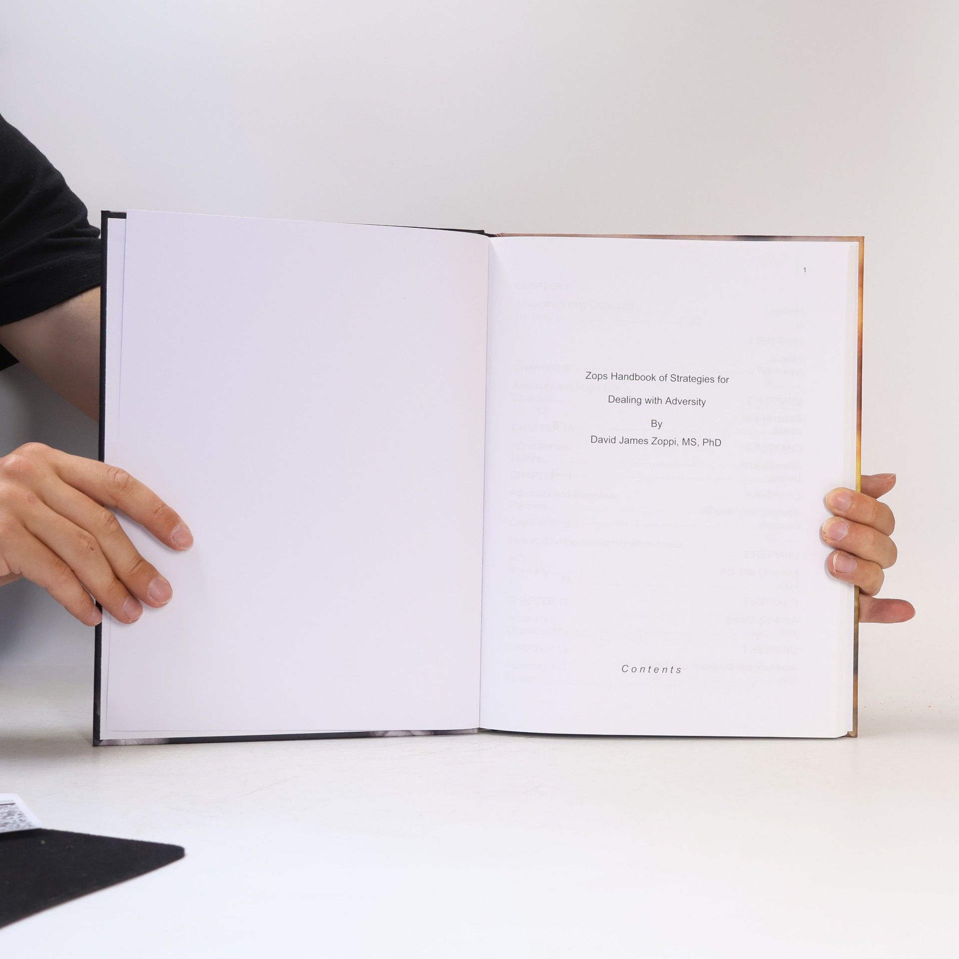 David James Zoppi Zops Handbook of Strategies for Dealing with Adversity