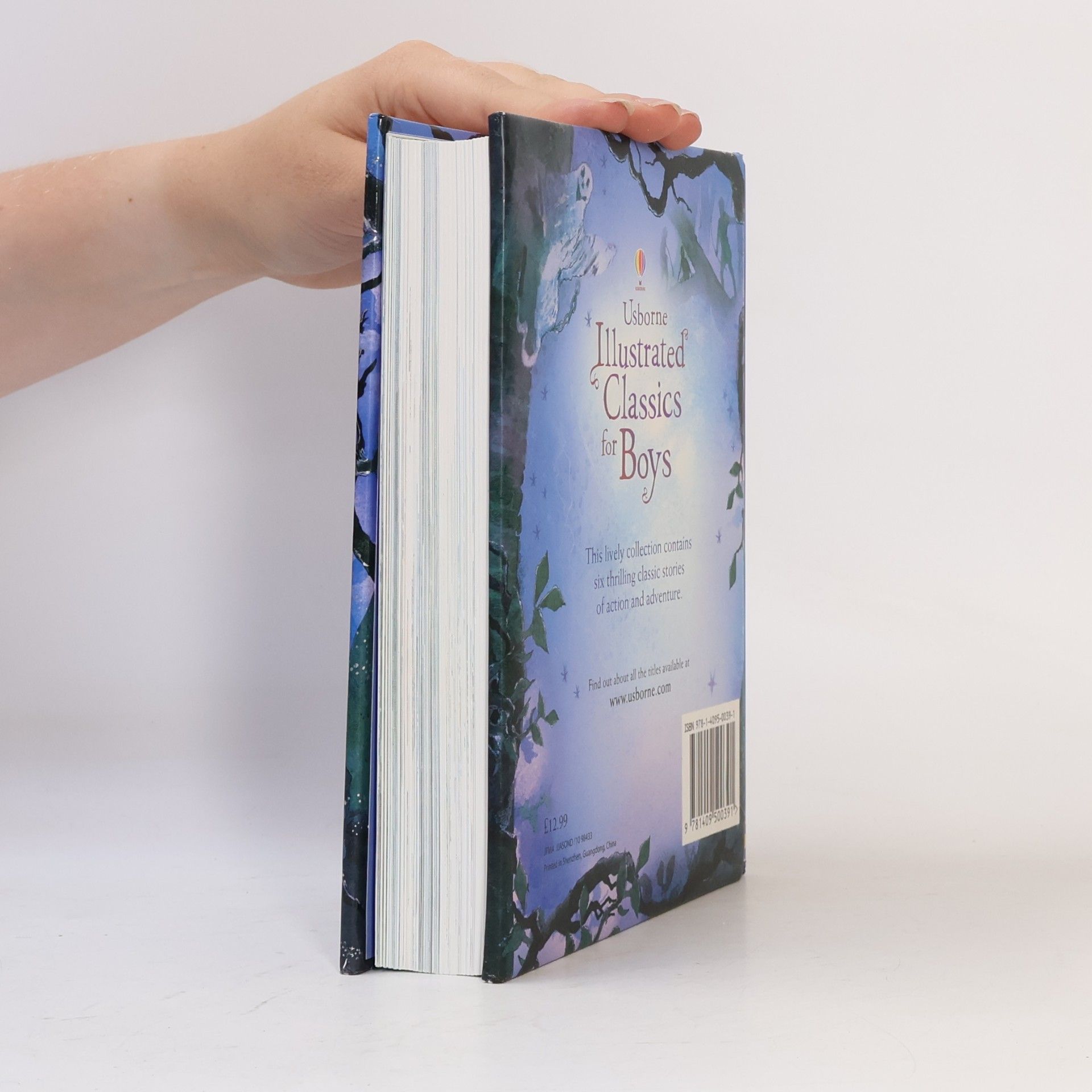 Kolektiv autorů Illustrated Classics for Boys