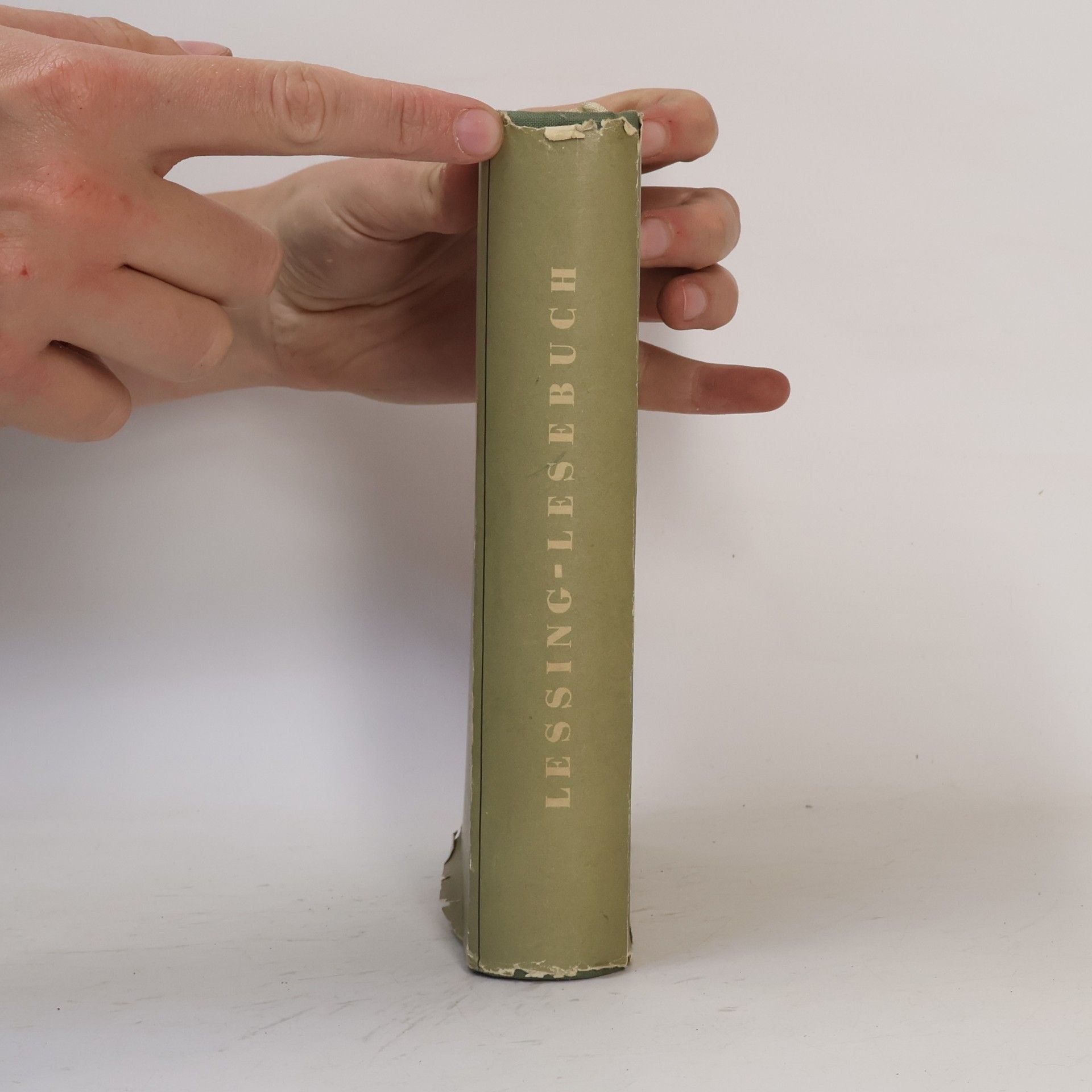 Walther Victor Lessing. Ein Lesenbuch für unsere Zeit