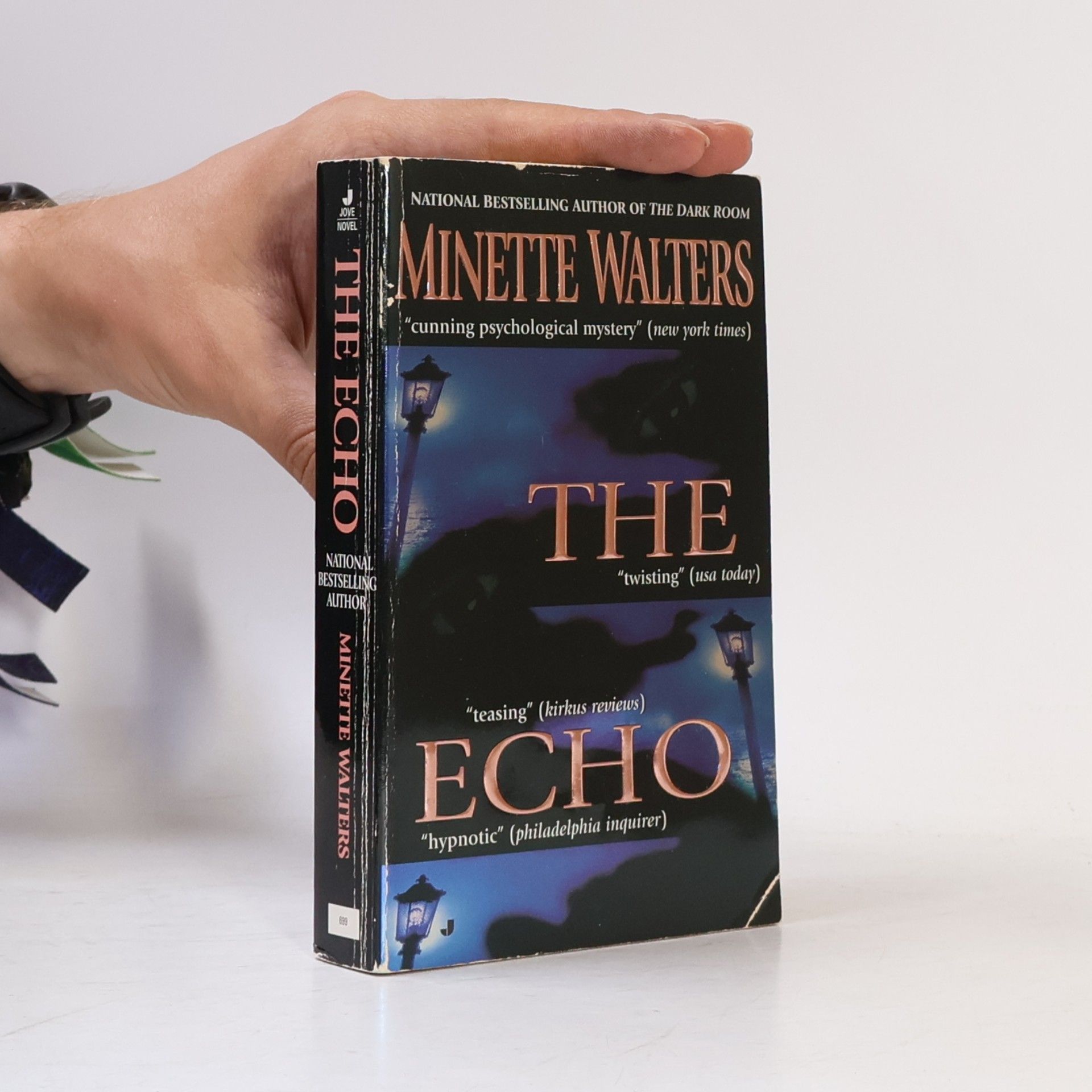 Minette Walters The Echo