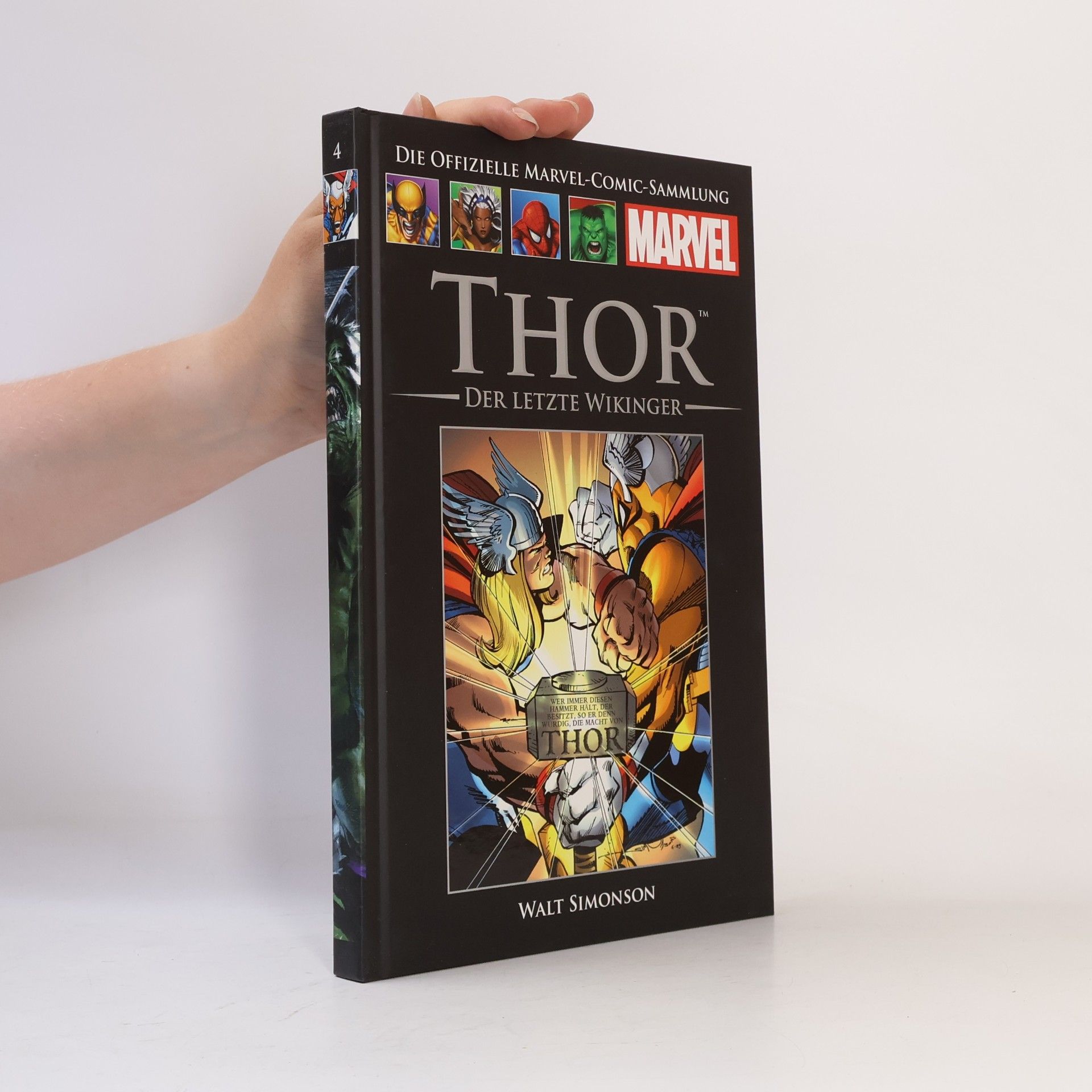 Autorenkollektiv Thor. Der letzte Wikinger