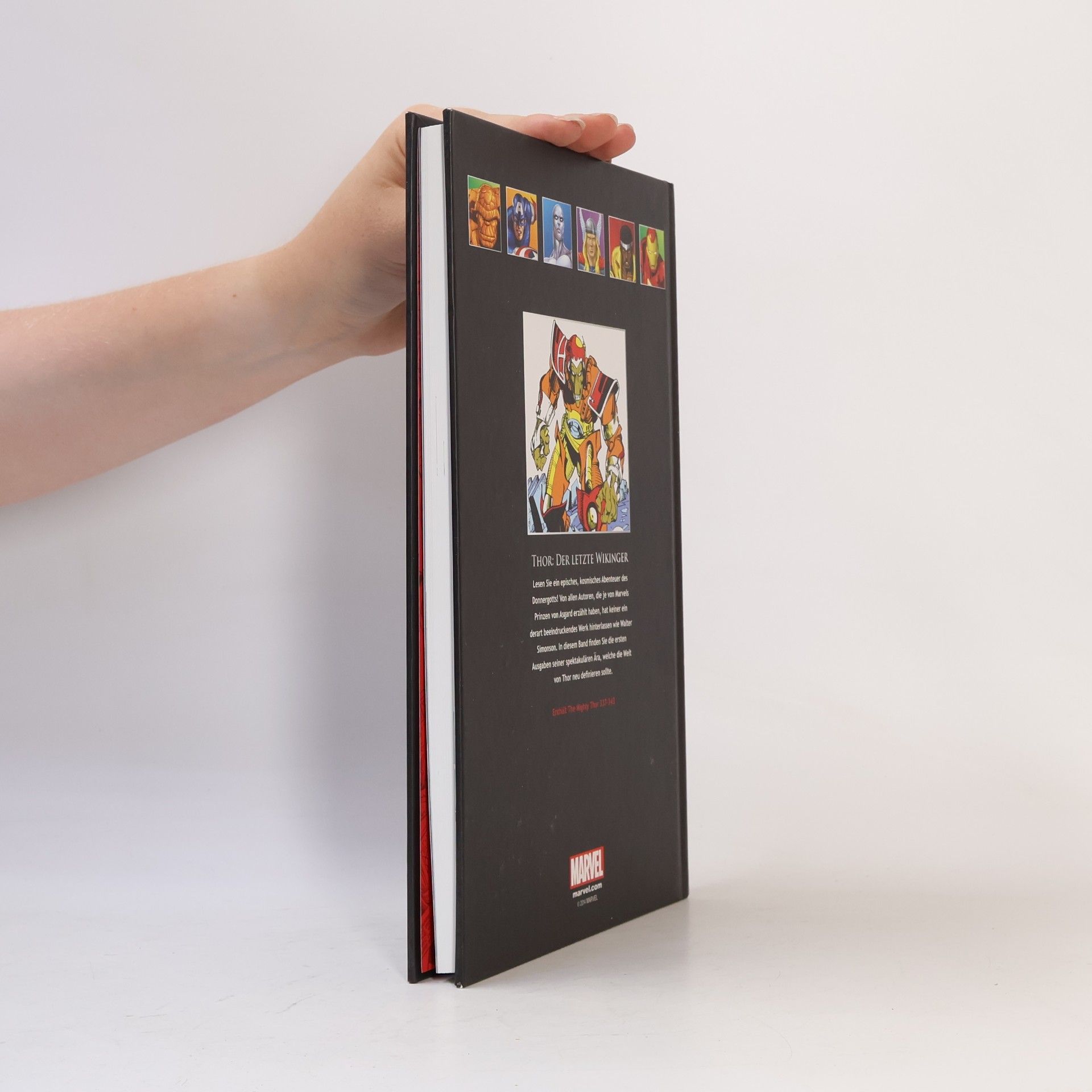 Autorenkollektiv Thor. Der letzte Wikinger