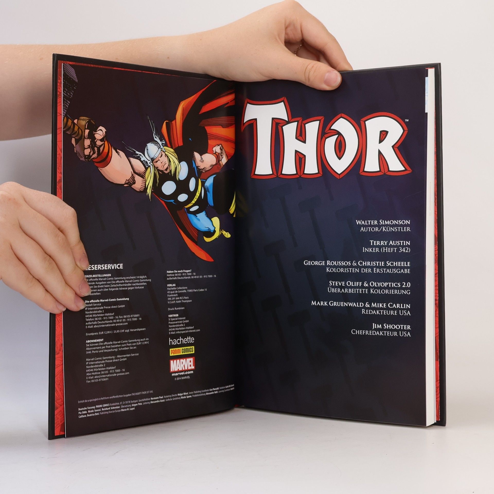 Autorenkollektiv Thor. Der letzte Wikinger