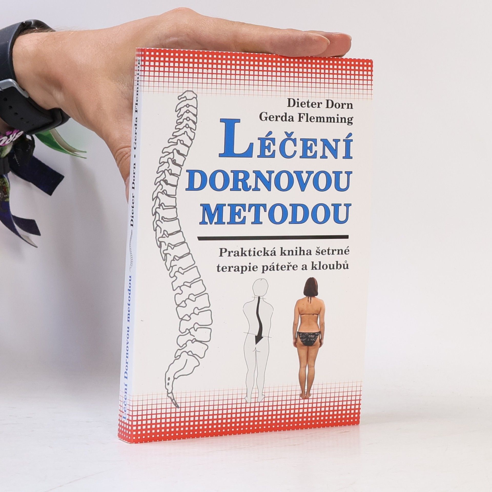 Dieter Dorn Léčení Dornovou metodou. Praktická kniha šetrné terapie páteře a kloubů