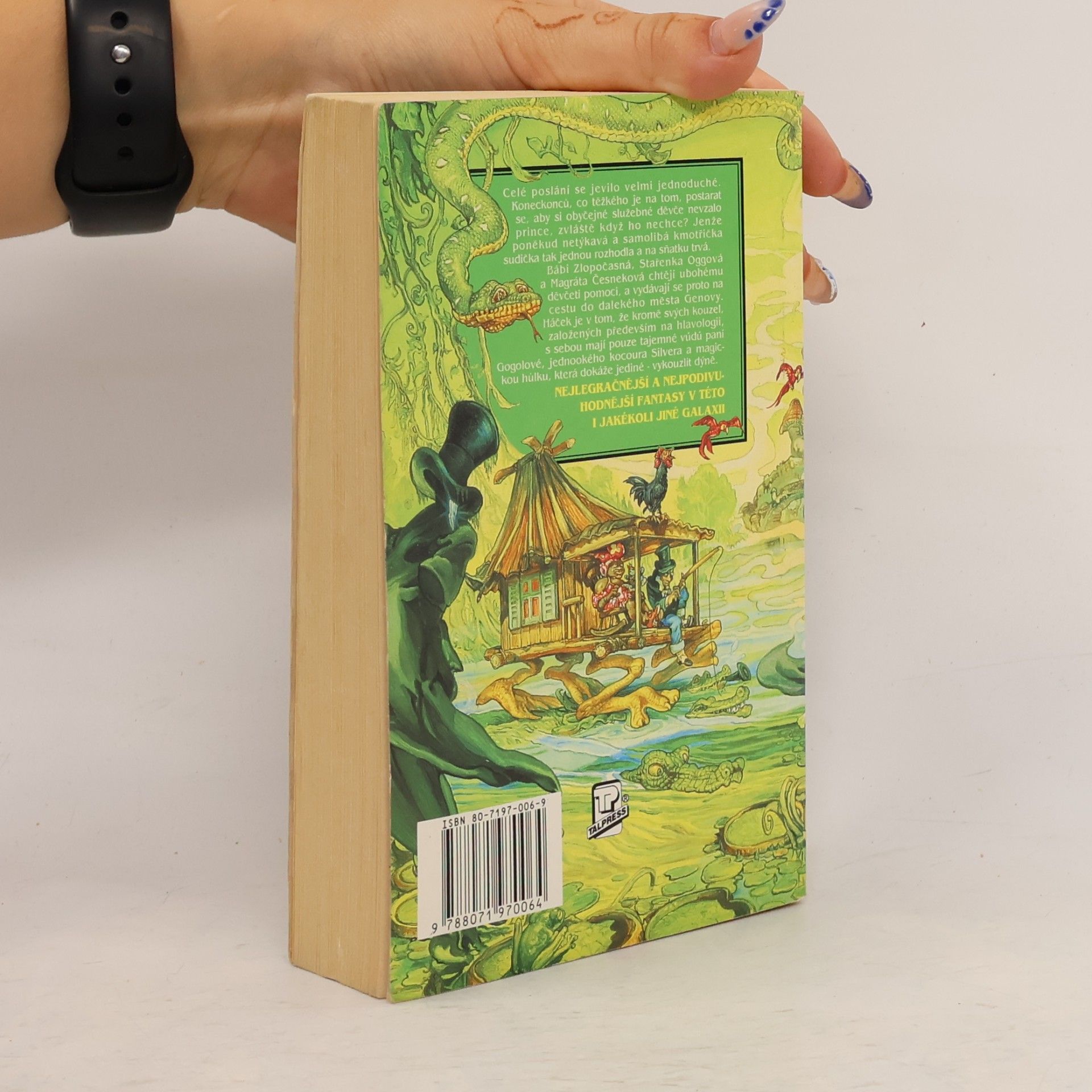 Terry Pratchett Čarodějky na cestách