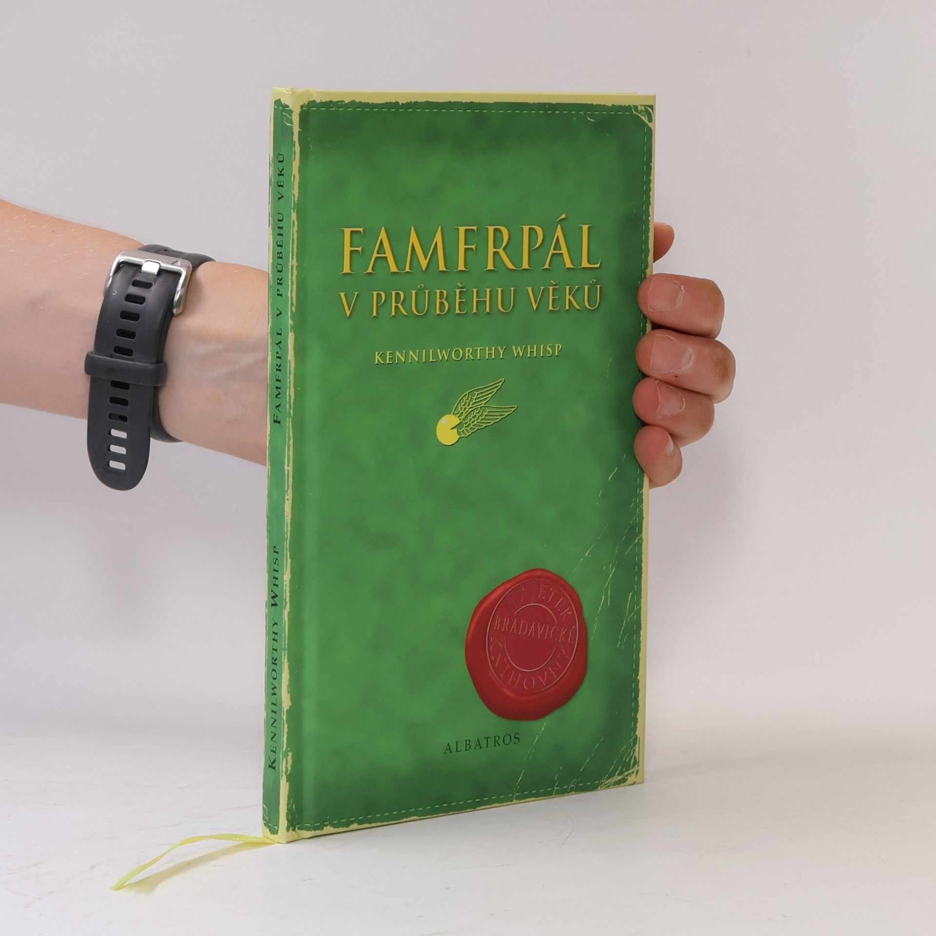 Famfrpál v průběhu věků