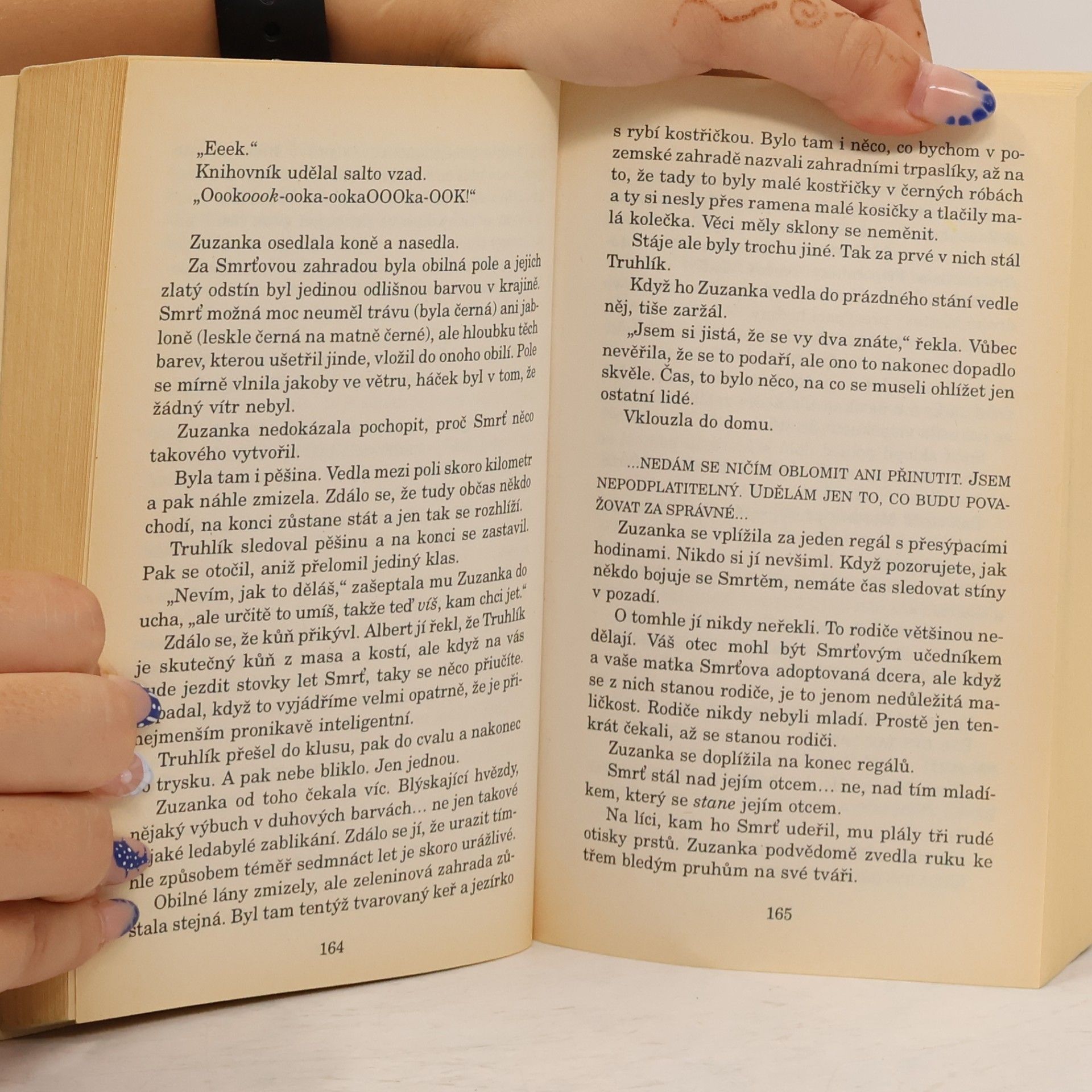 Terry Pratchett Těžké melodično
