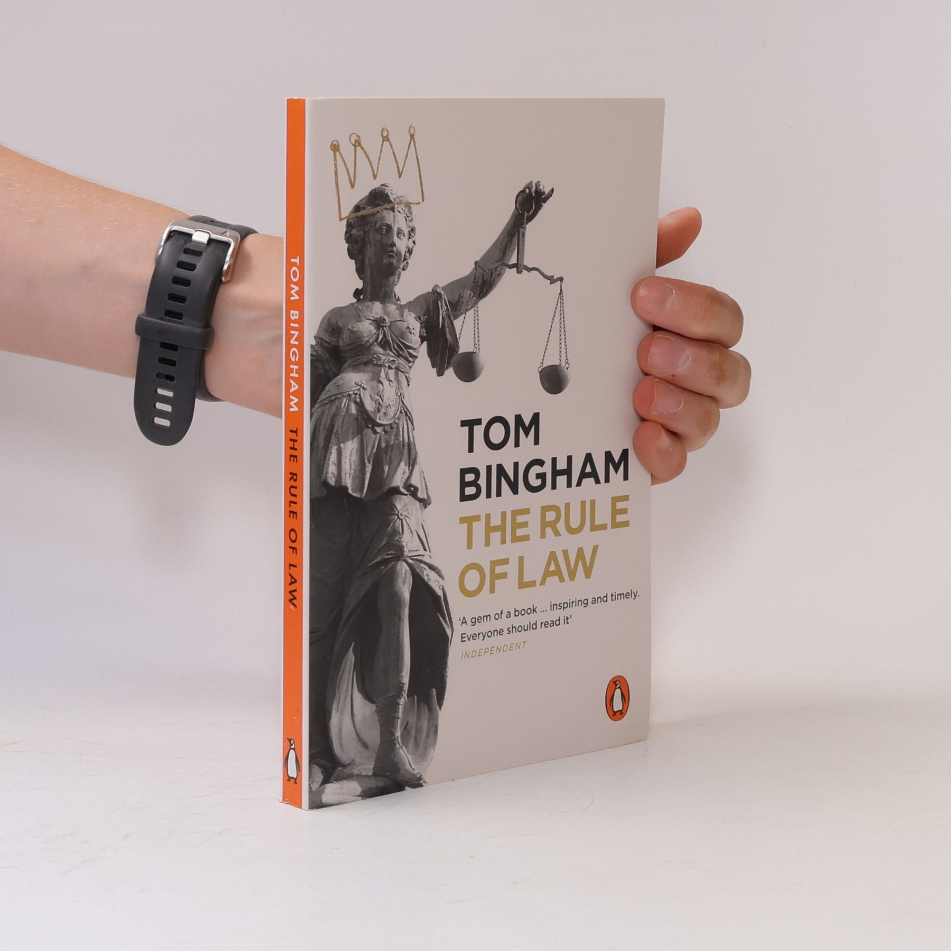 Tom Bingham The rule of law