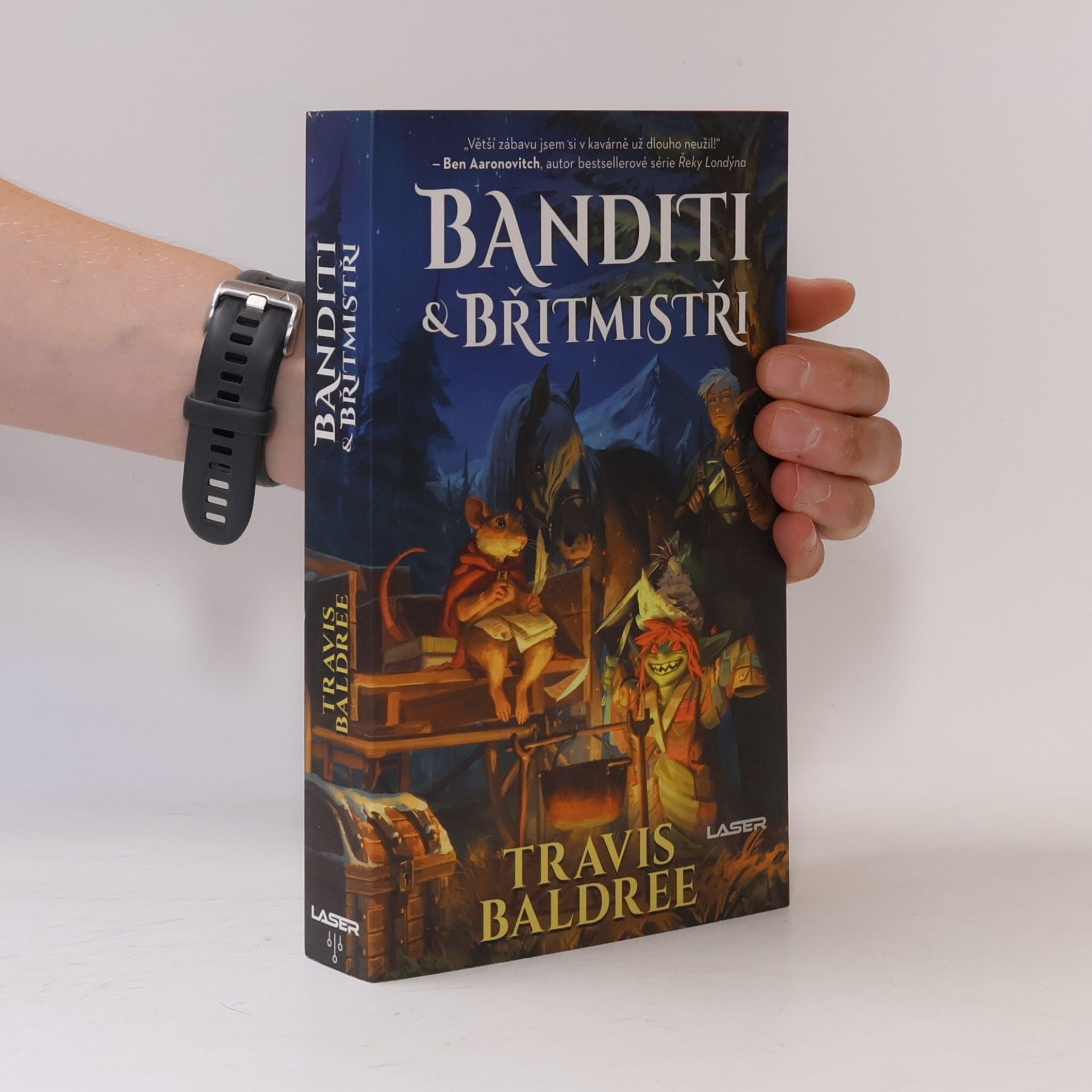 Travis Baldree Banditi a břitmistři