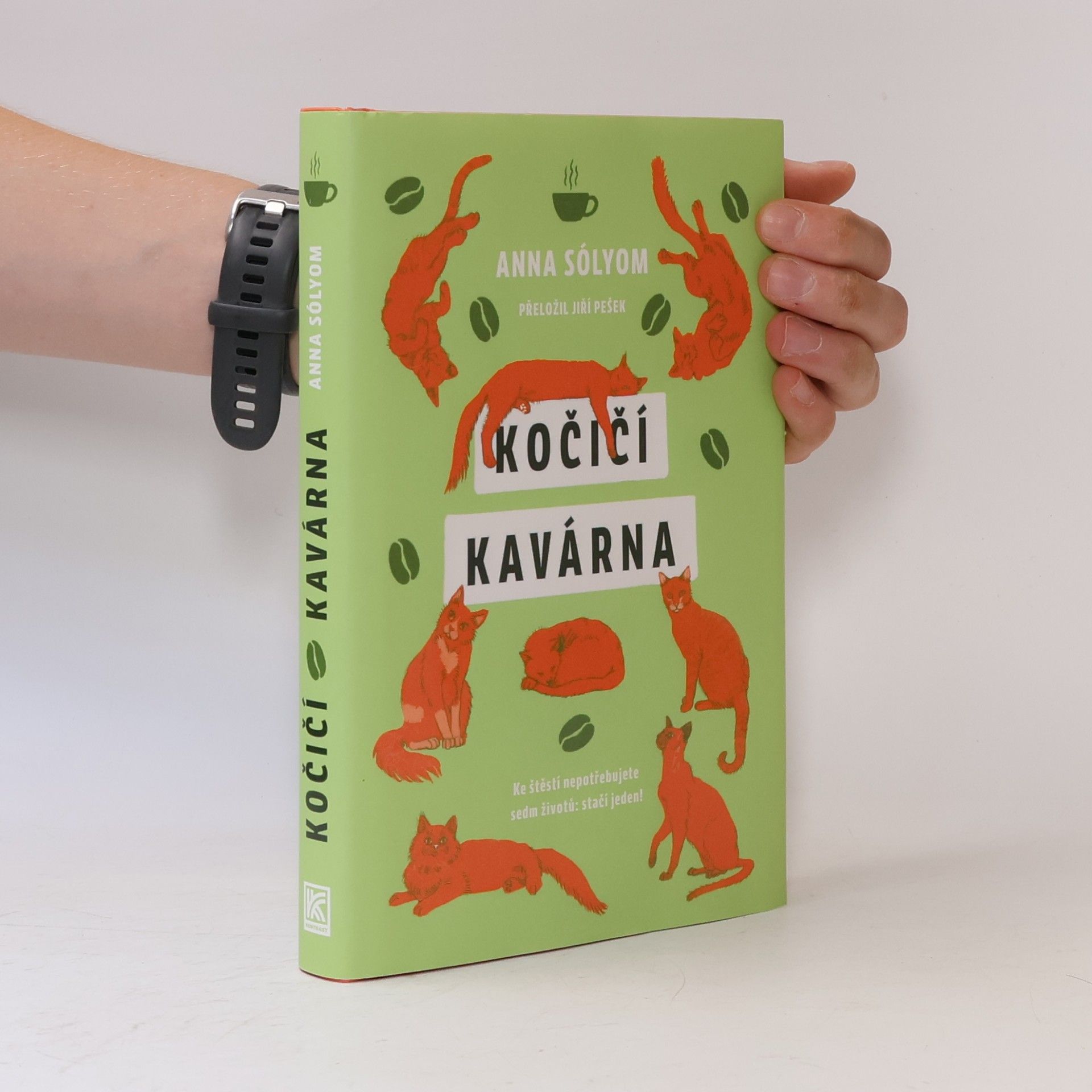 Anna Sólyom Kočičí kavárna