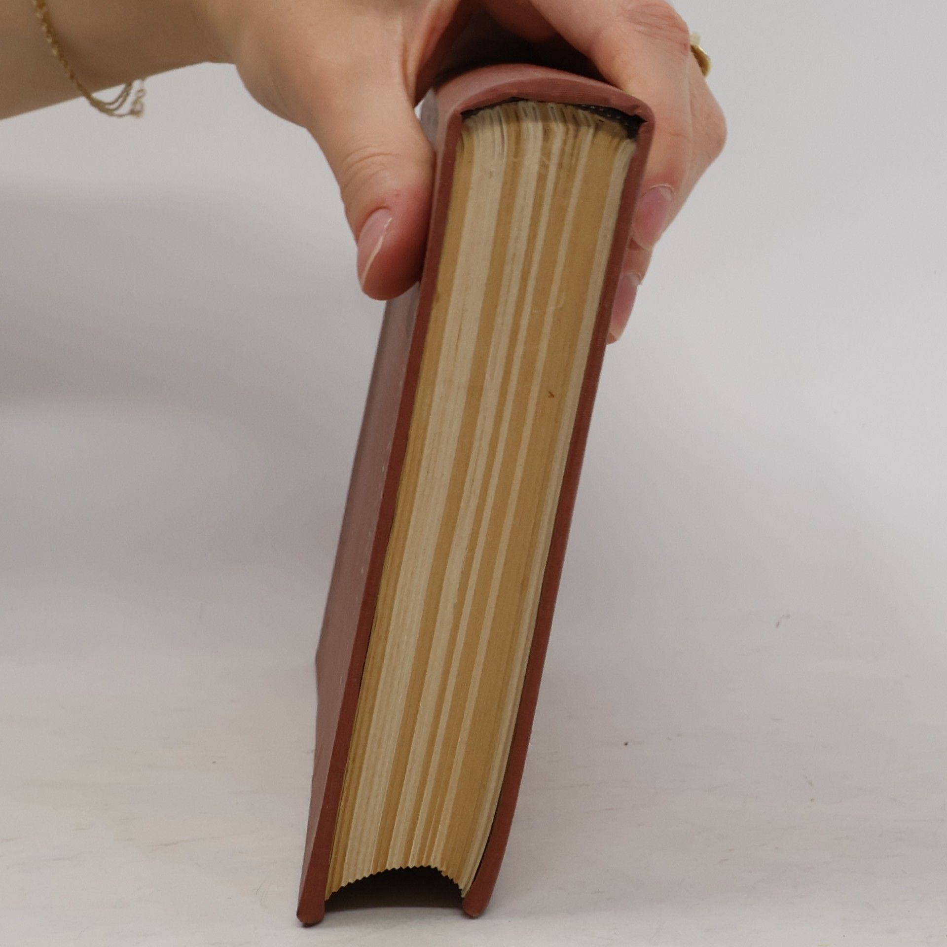 Kolektiv autorů Petit dictionnaire pratique français-russe