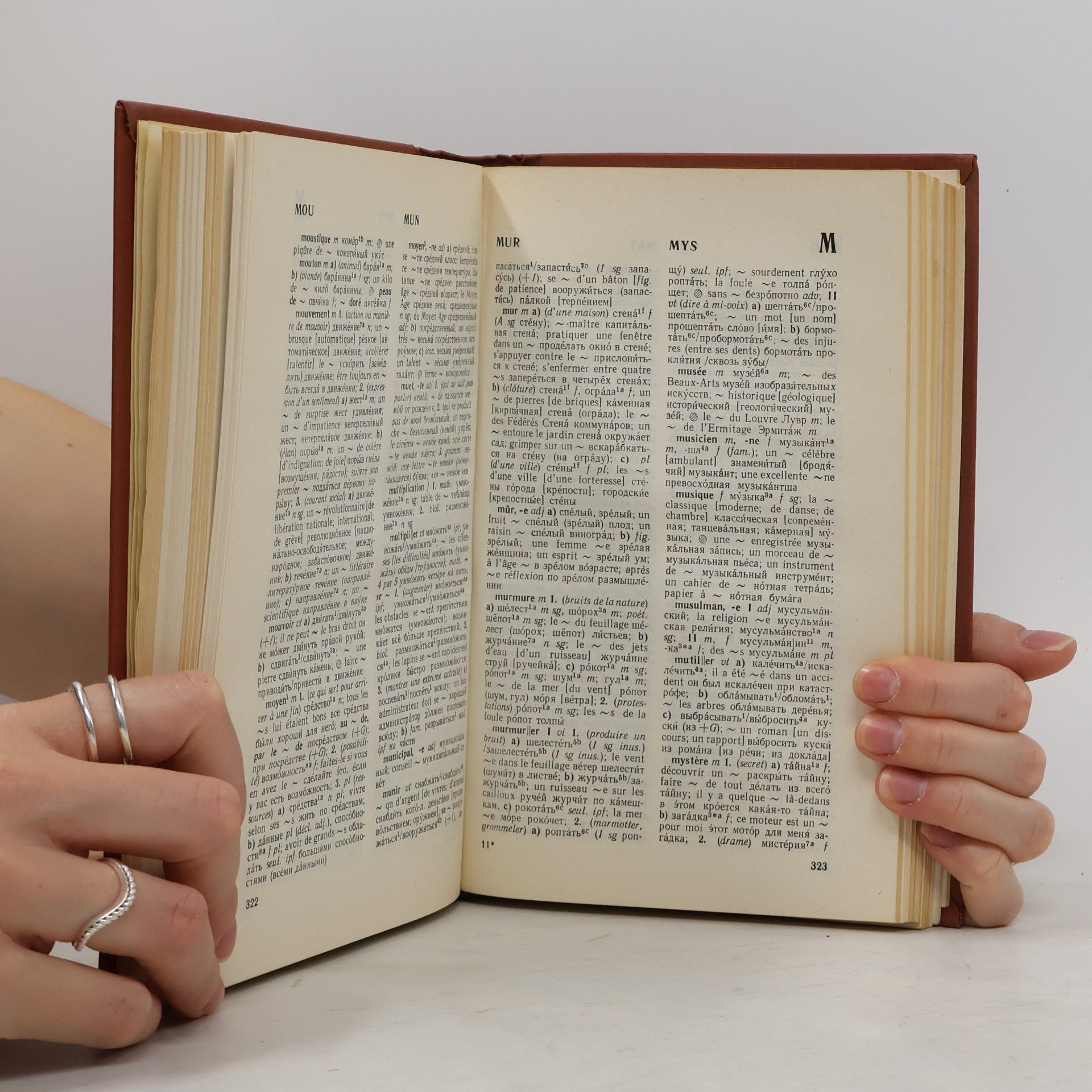 Kolektiv autorů Petit dictionnaire pratique français-russe