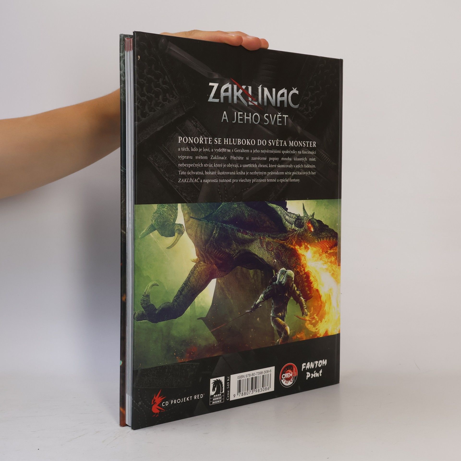 Marcin Batylda Zaklínač a jeho svět. Průvodce (nejen) herním světem