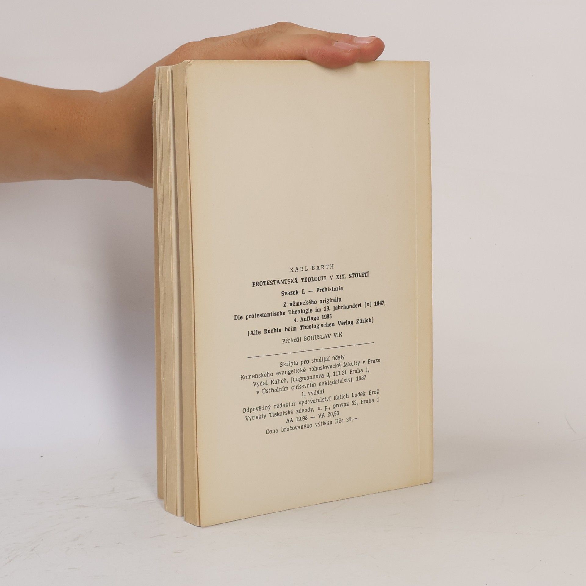 Auteurscollectief Protestantská teologie v XIX. století. Svazek I. Prehistorie