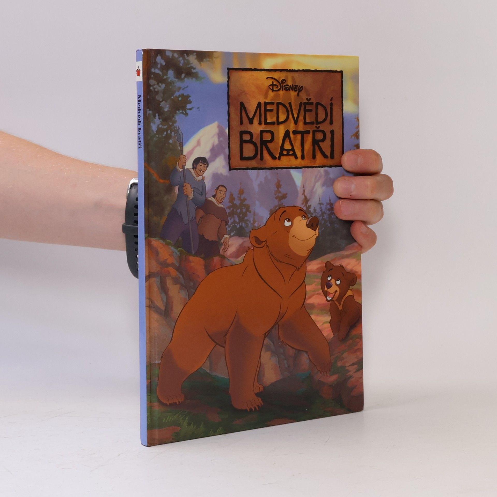 Walt Disney Medvědí bratři