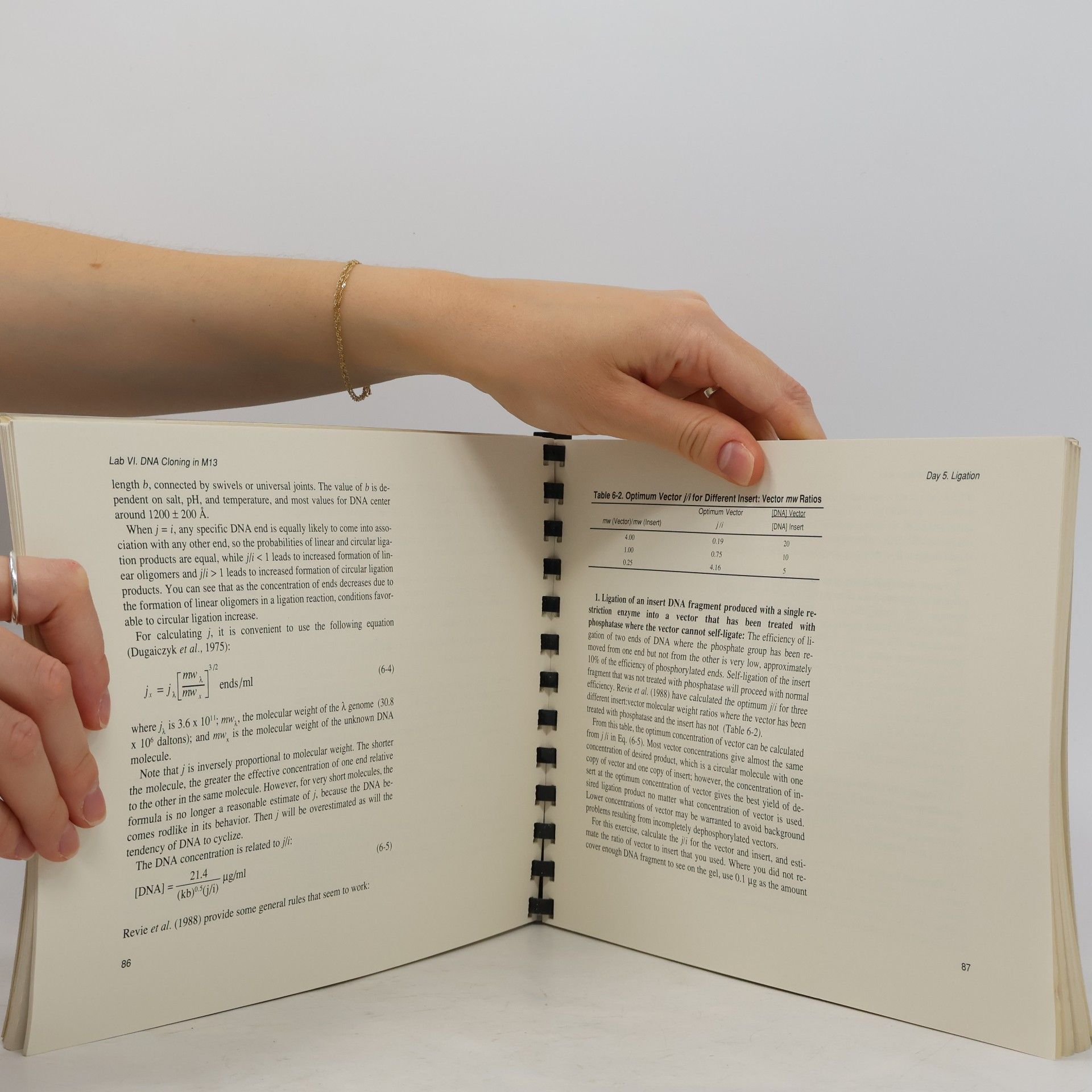 Judith W. Zyskind Recombinant DNA Laboratory Manual