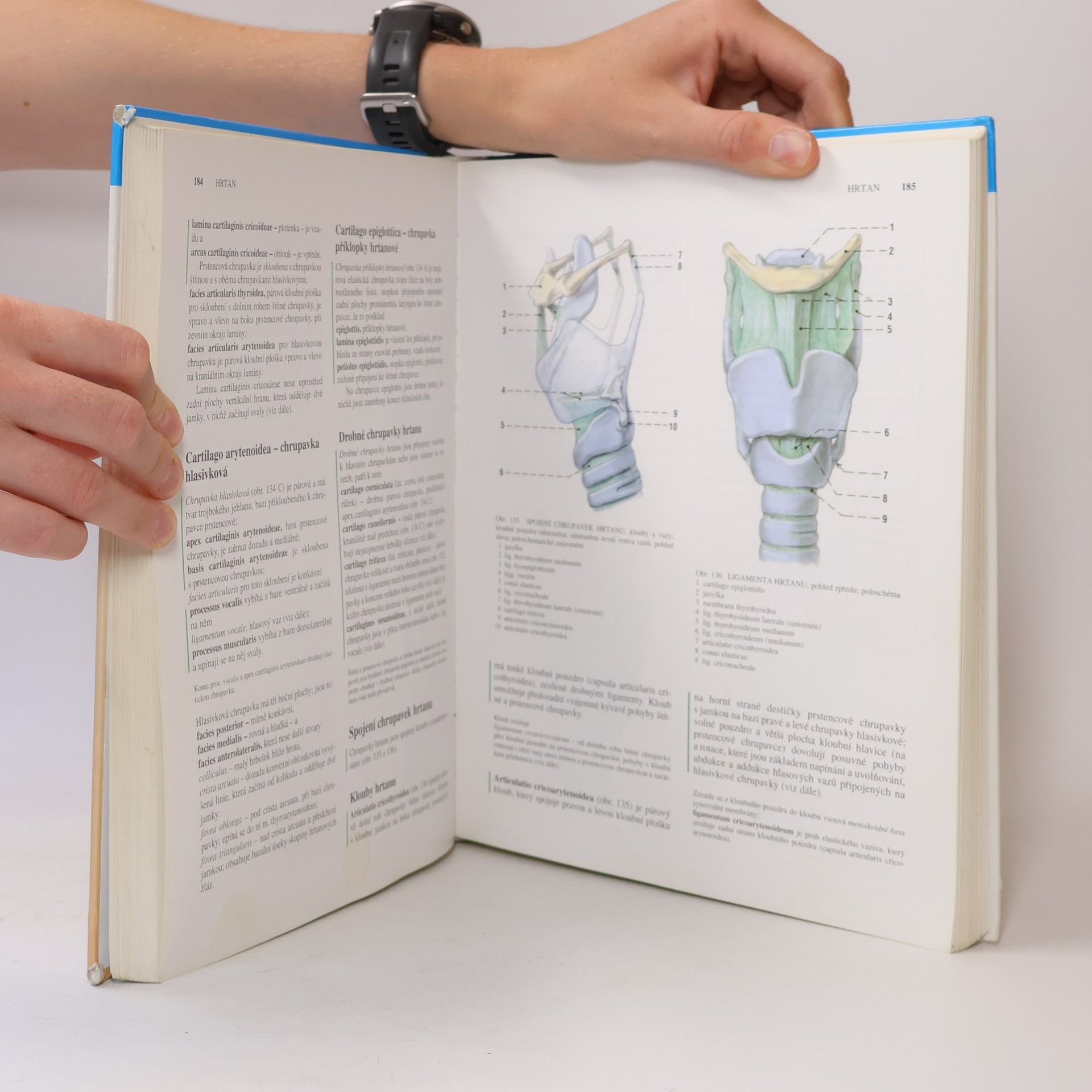 Radomír Čihák Anatomie 2