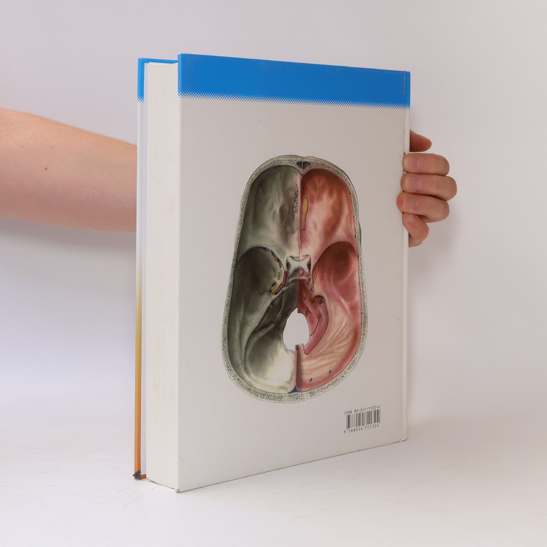 Radomír Čihák Anatomie 3