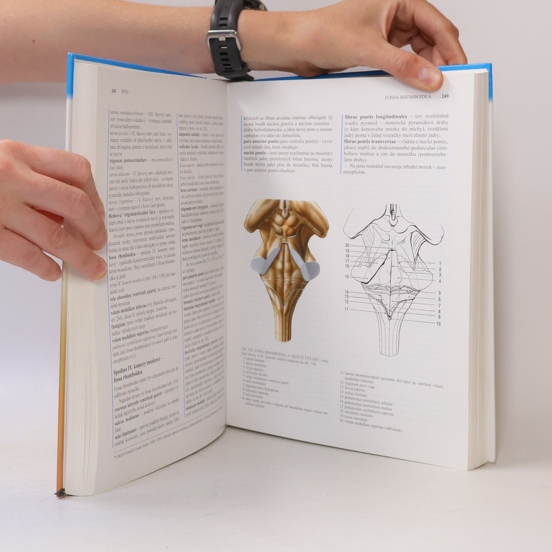 Radomír Čihák Anatomie 3