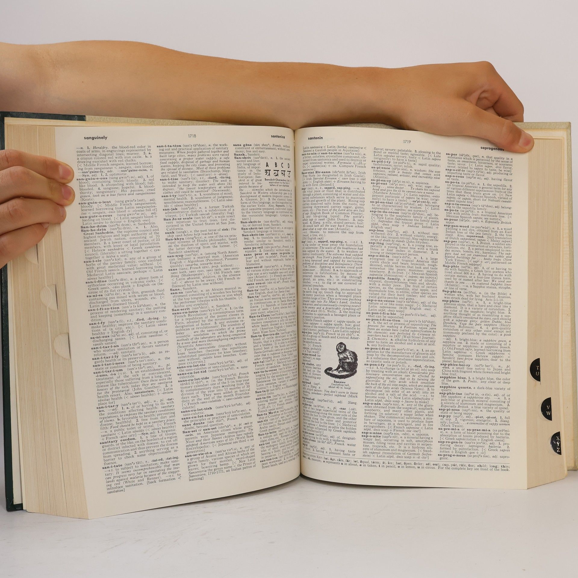 Thorndike Barnhart The World Book Encyclopedia Dictionary L-Z
