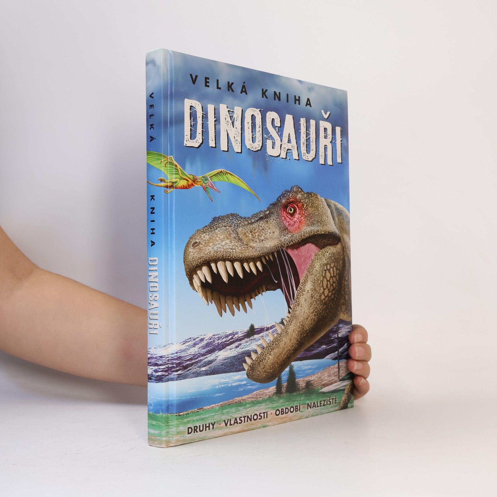Collectif d'auteurs Velká kniha. Dinosauři