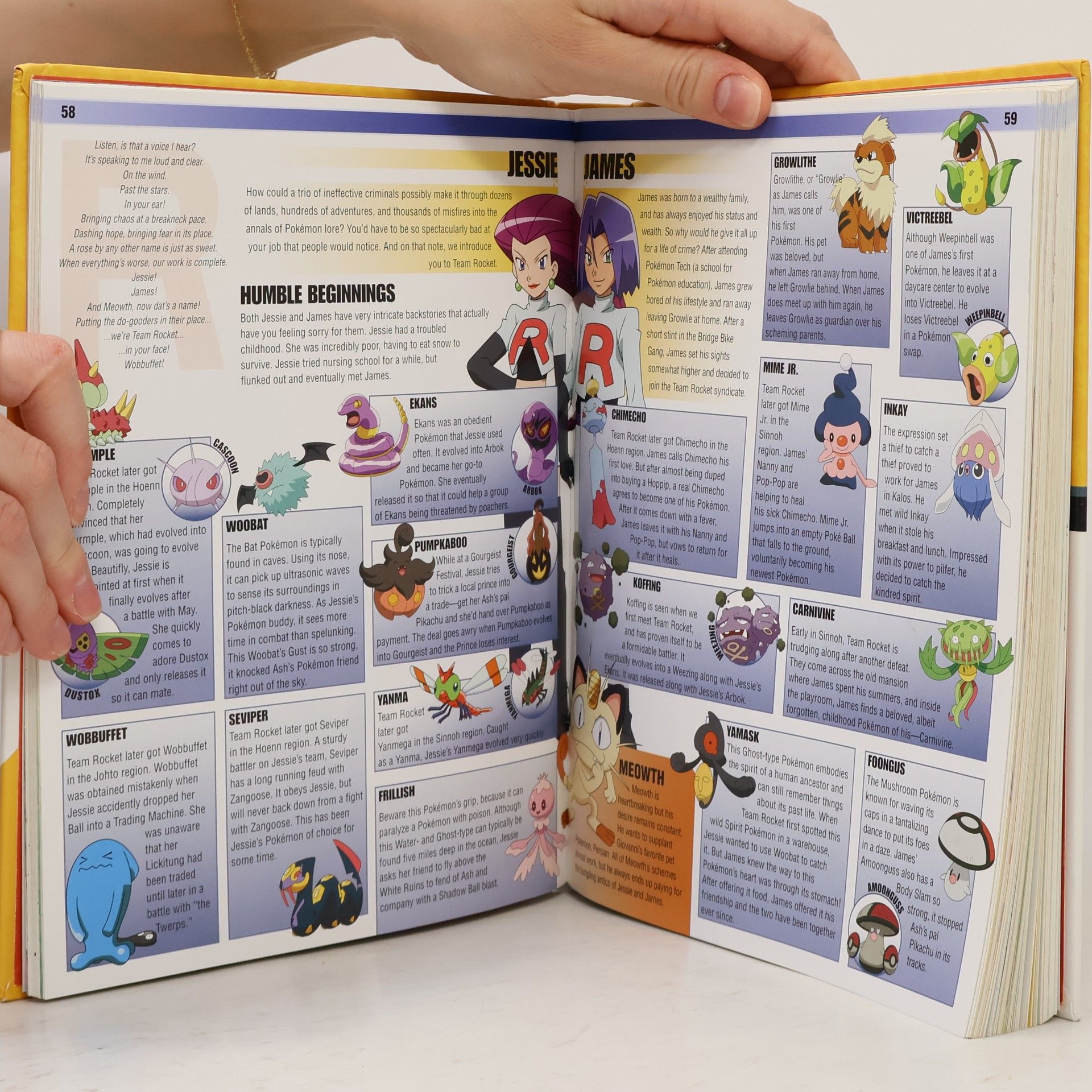 Autorenkollektiv Pokémon Encyclopedia