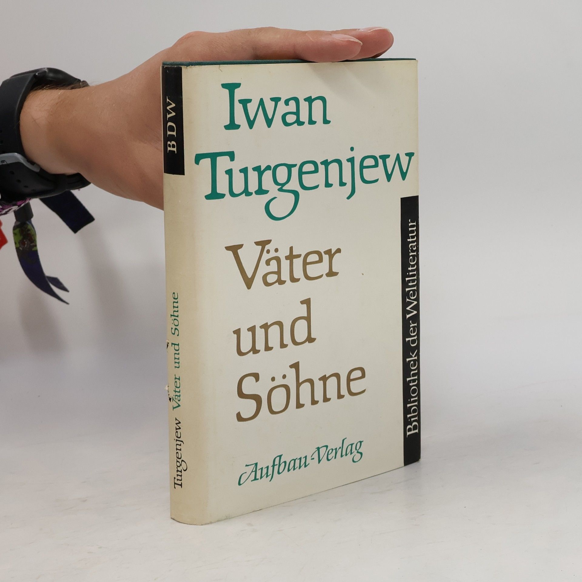 Ivan Sergejevič Turgenev Väter und Söhne