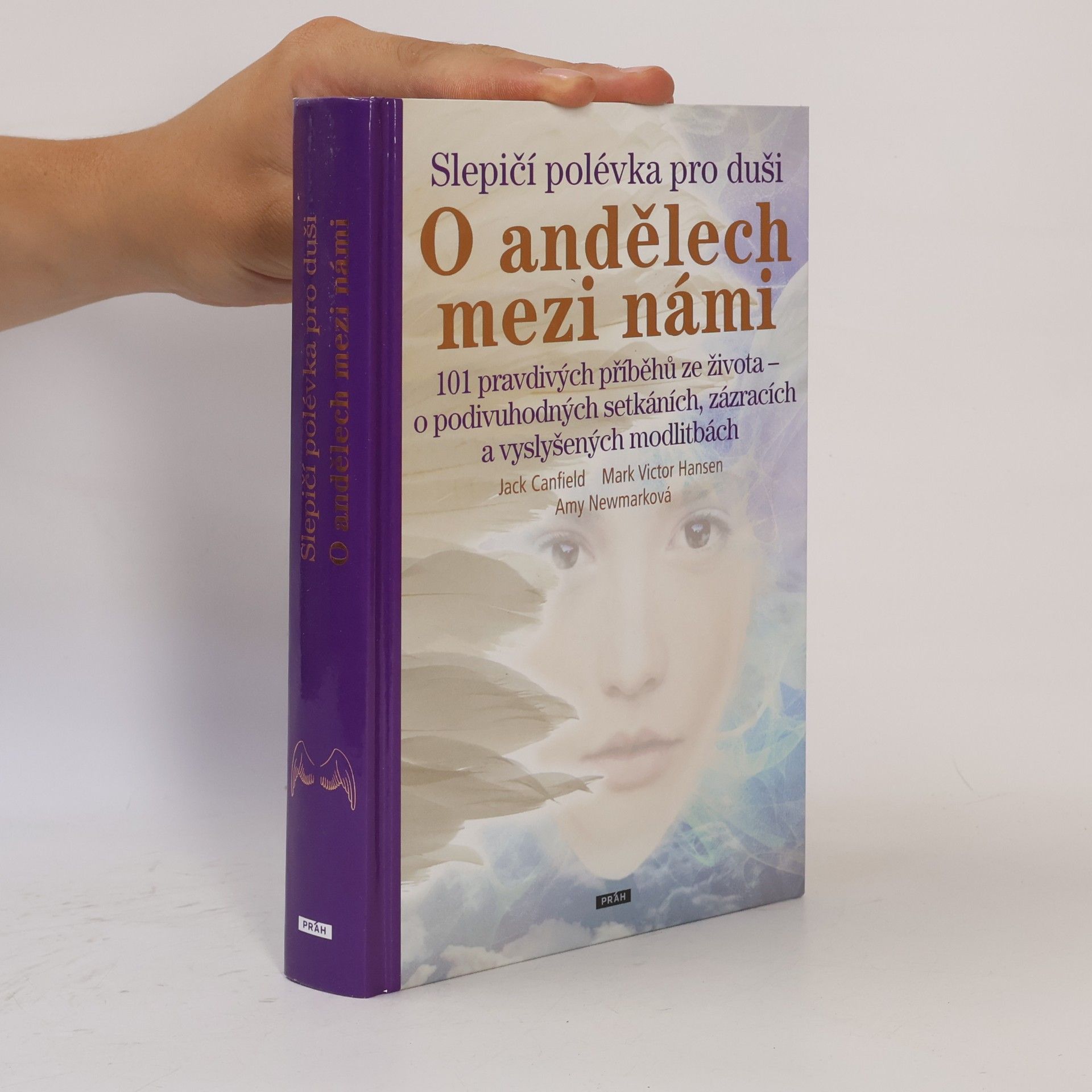 Amy Newmark Slepičí polévka pro duši - o andělech mezi námi