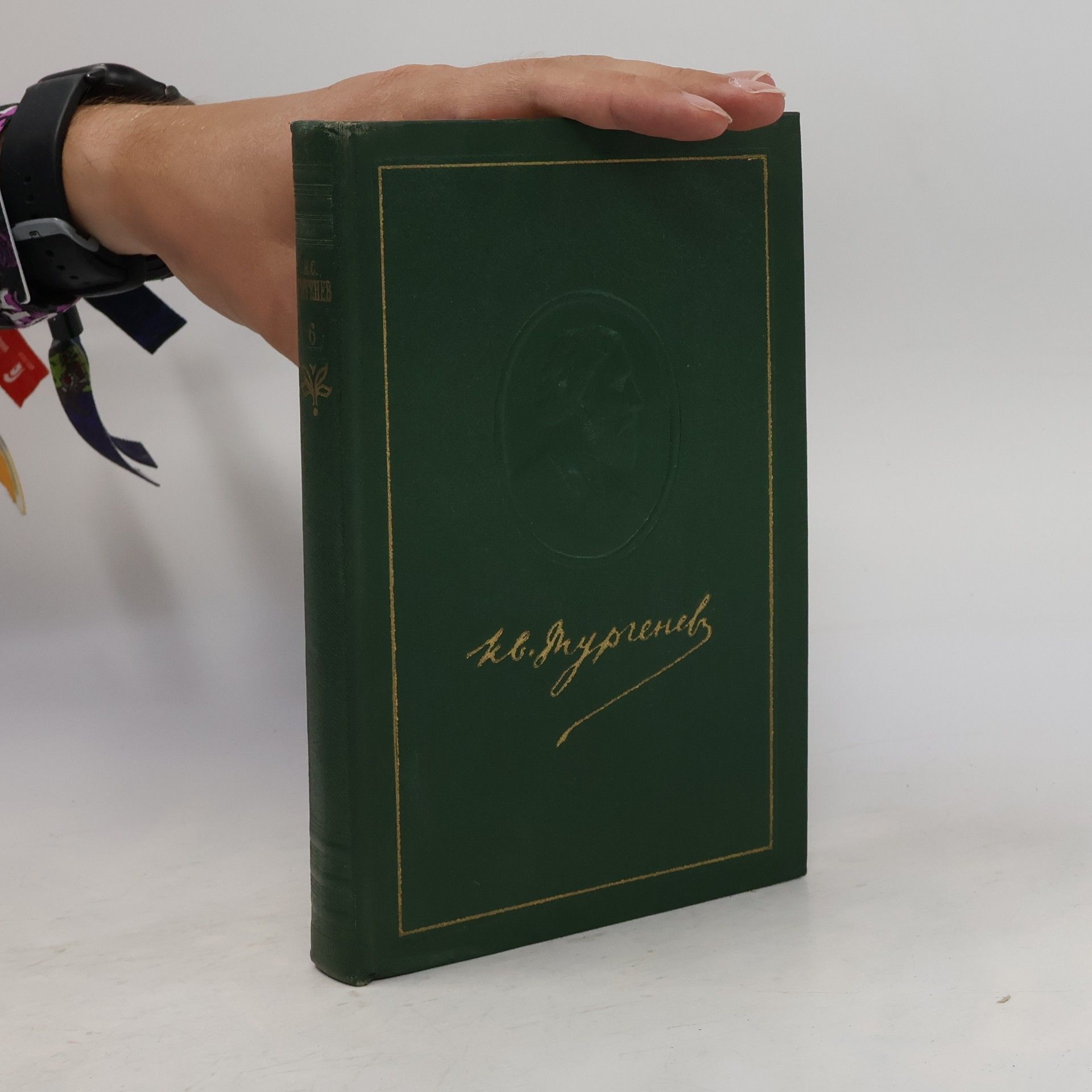 Ivan Sergejevič Turgenev Собрание сочинений. Том шестой