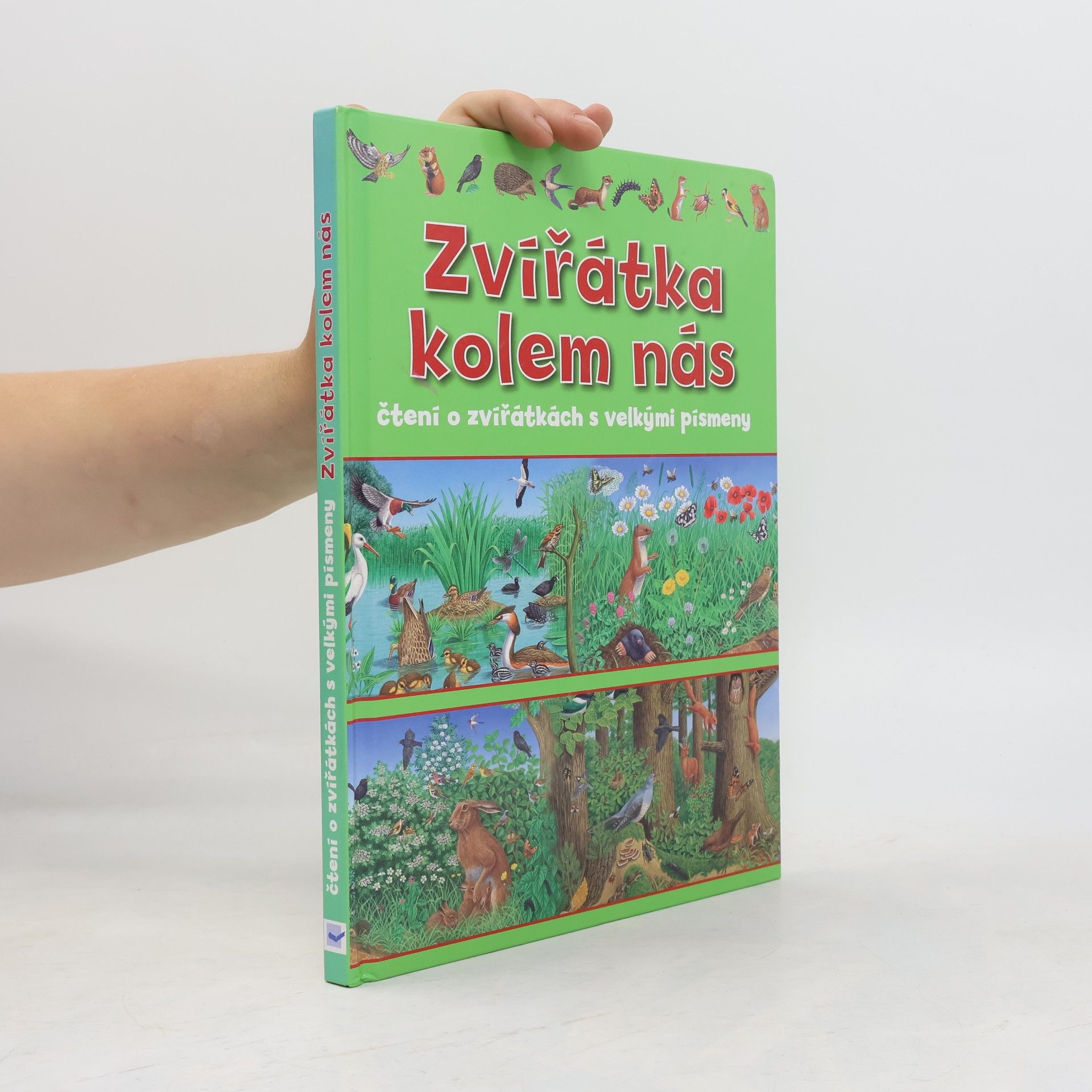 Auteurscollectief Zvířátka kolem nás : čtení o zvířátkách s velkými písmeny