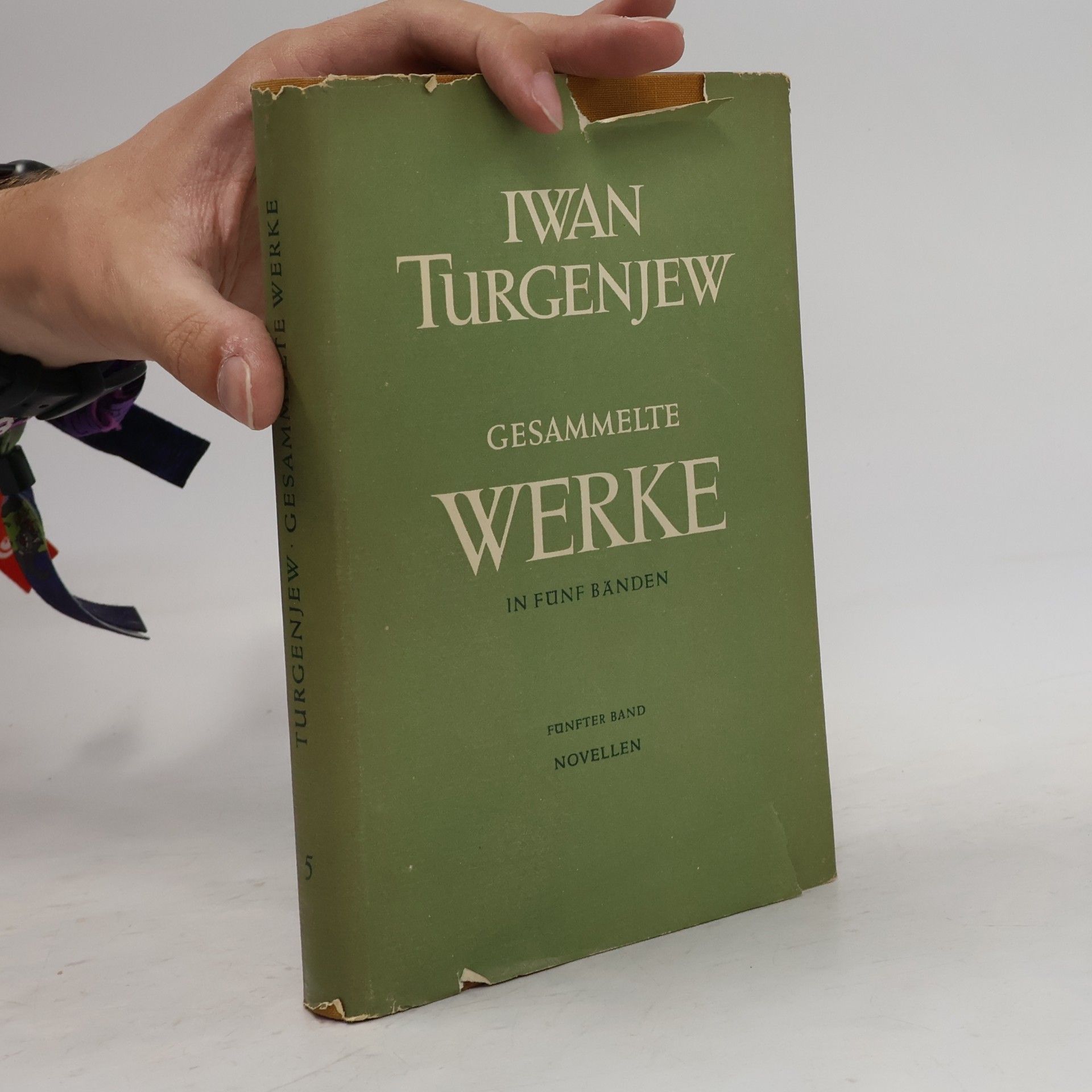 Iwan Turgenjew Gesammelte Werke 5